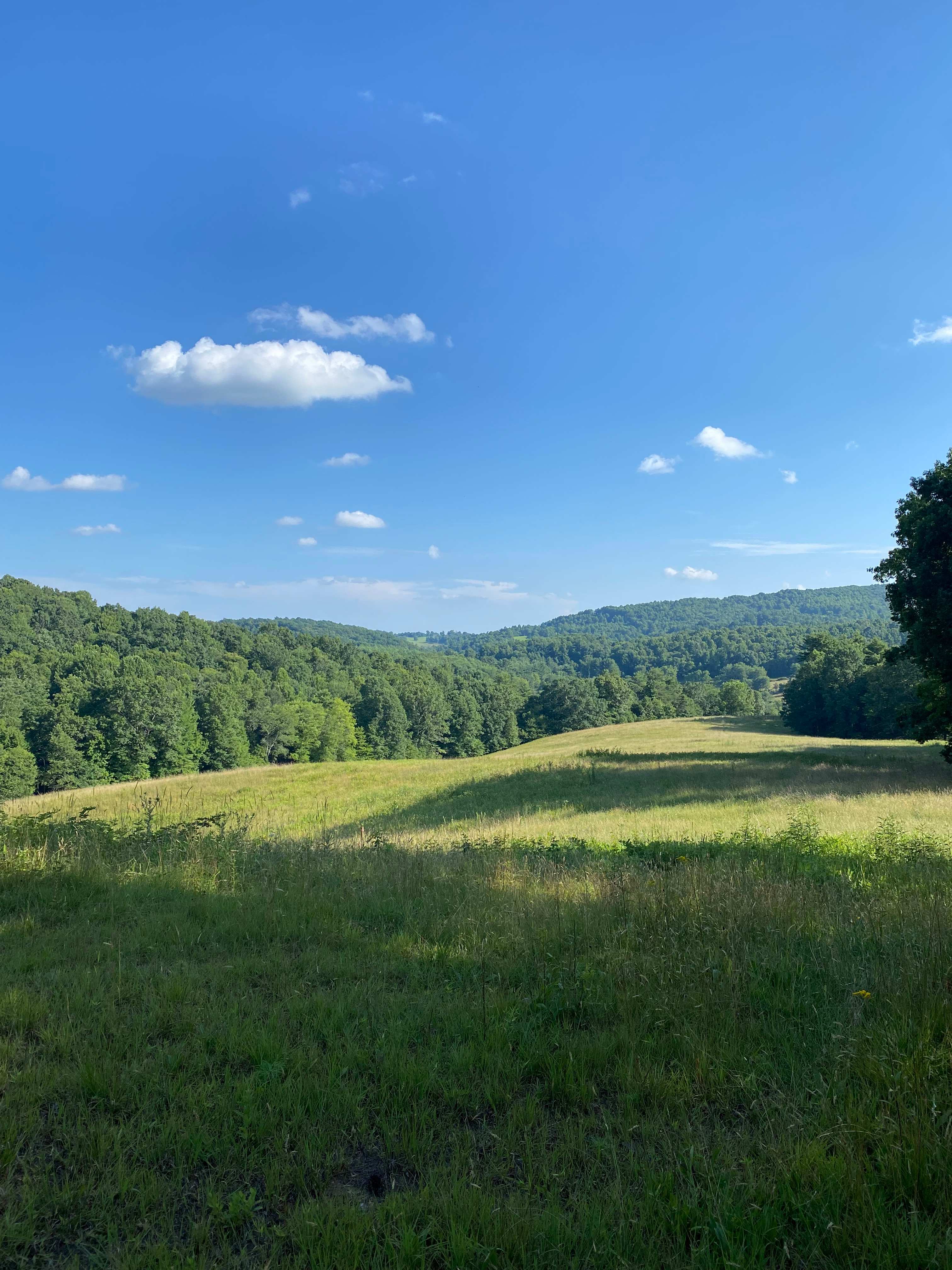 Wade Farm