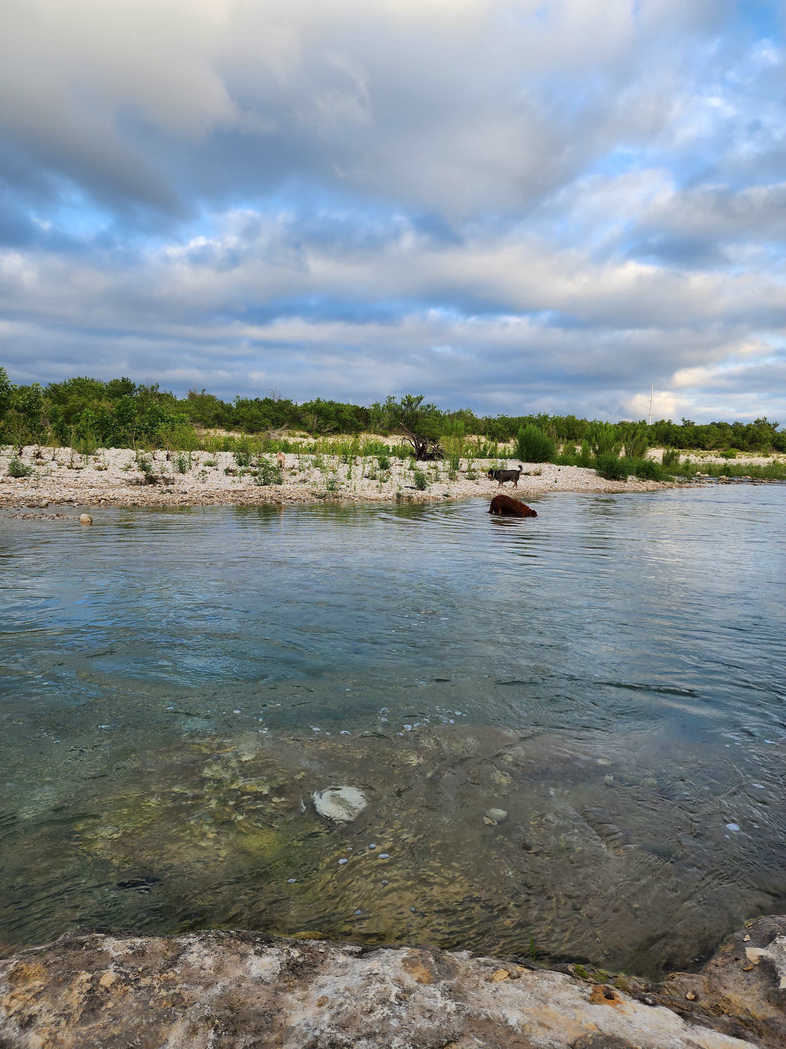 The Labyrinth, A Nueces River Oasis