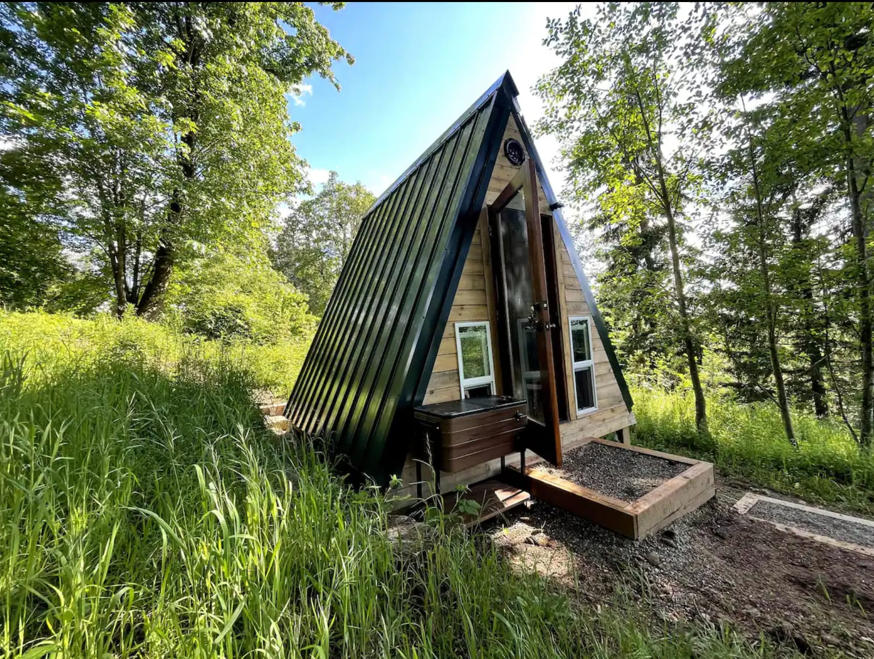 Forest Therapy Galore