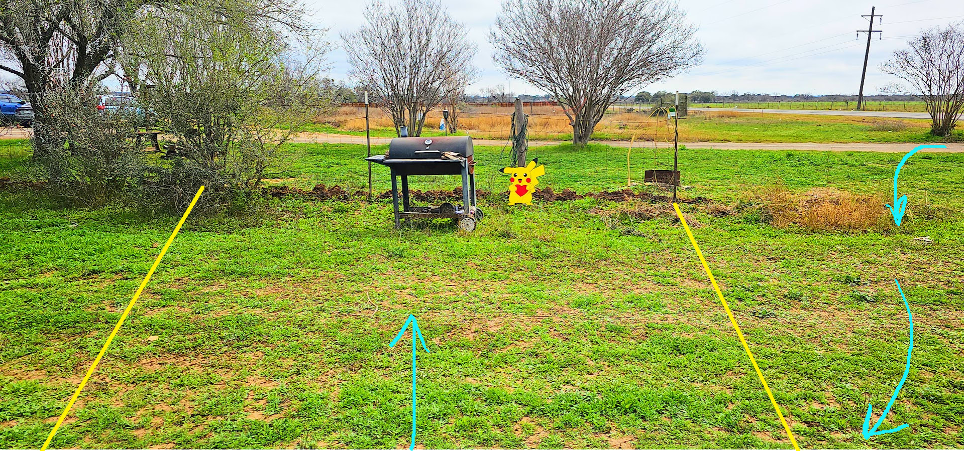 Picture of the site