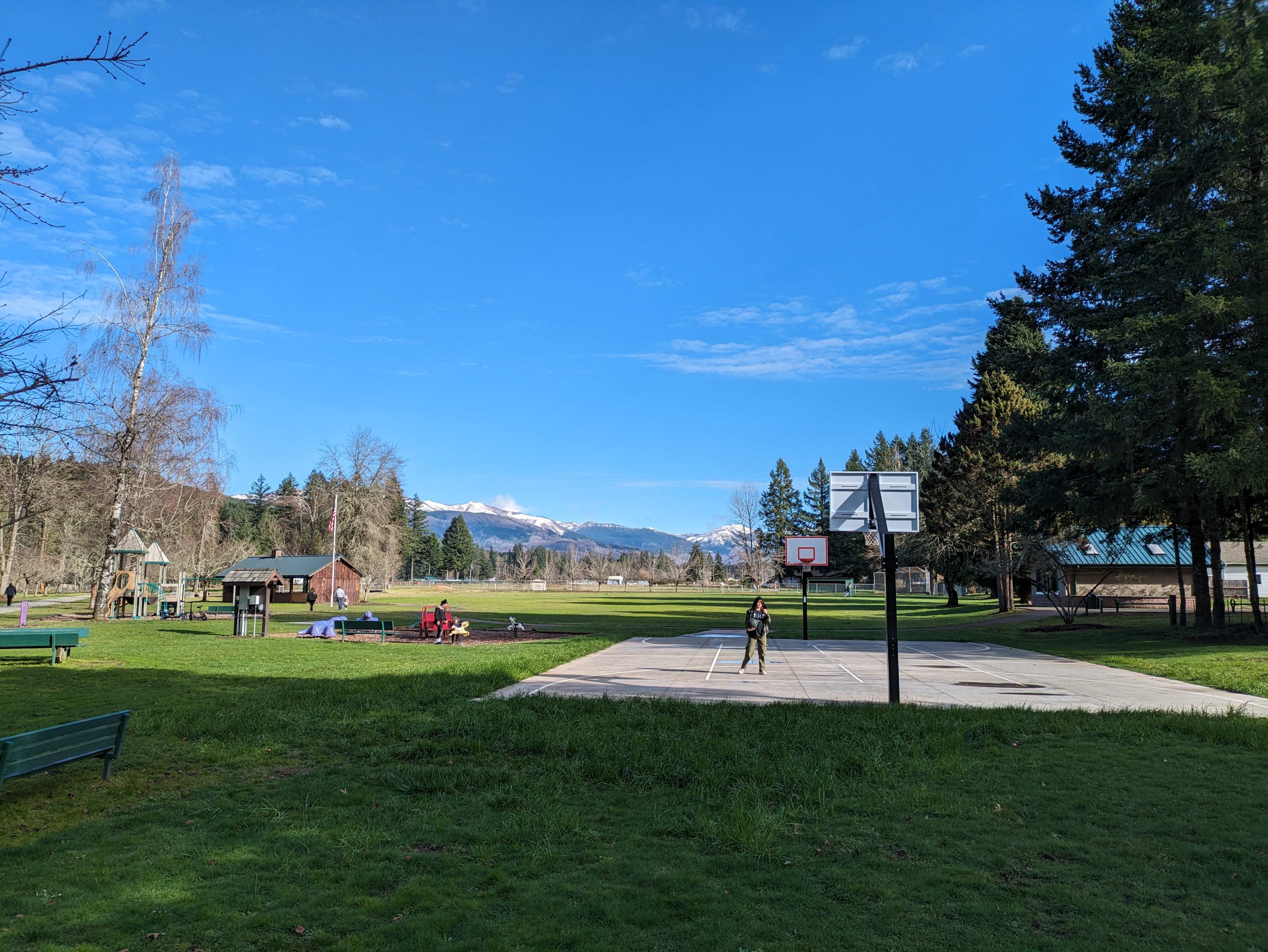 Picture of the site