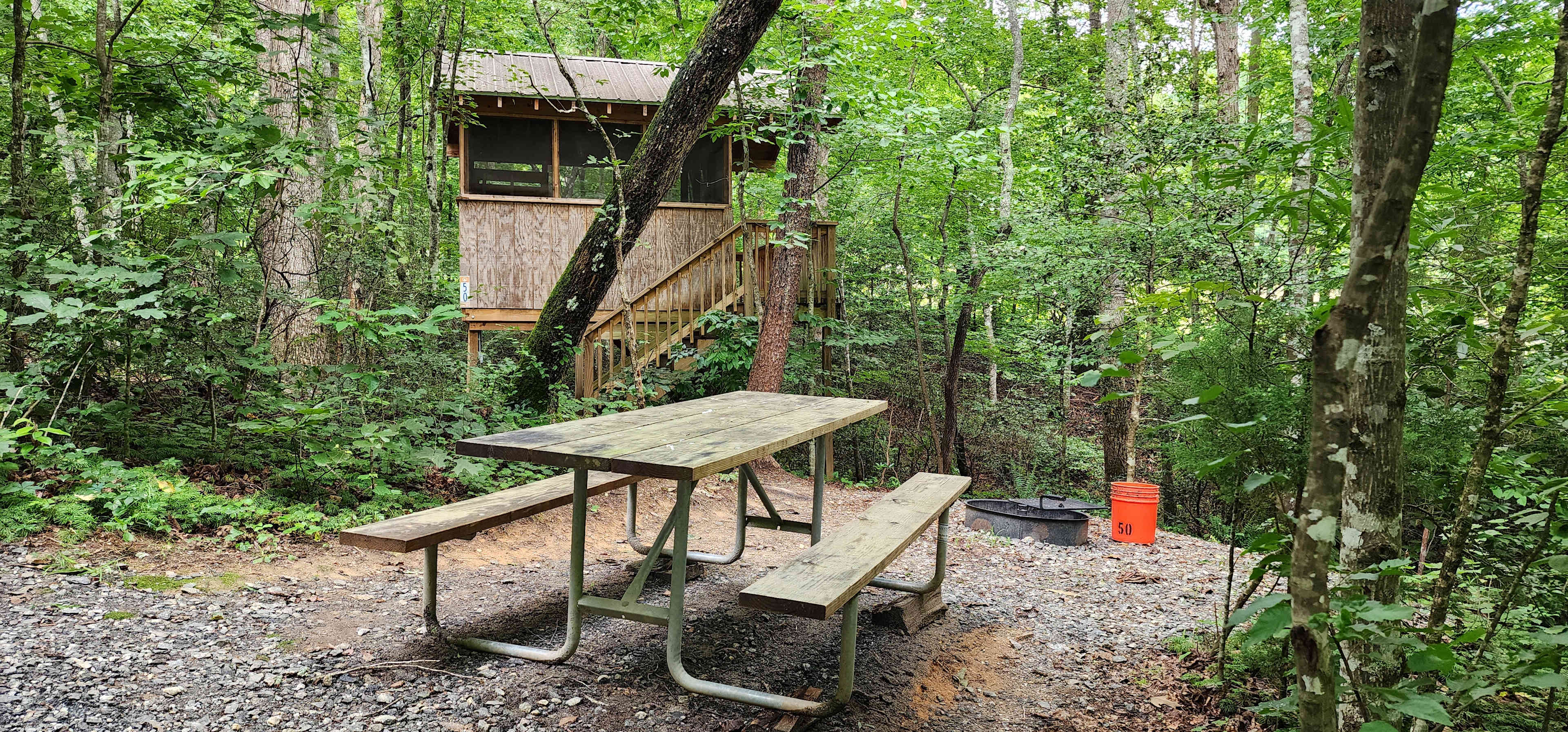 Picture of the site