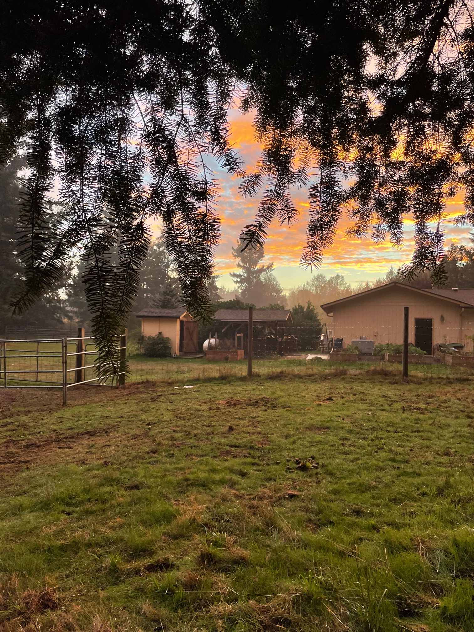 Country Refuge Close to City