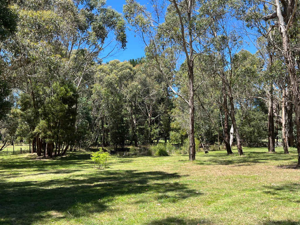 A Wooded Sanctuary