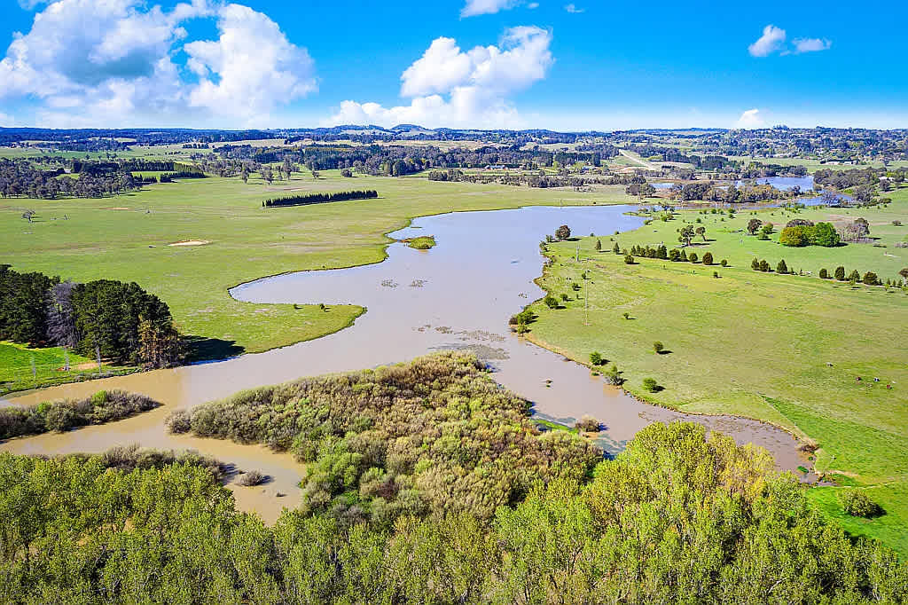 Wings of the Carribee