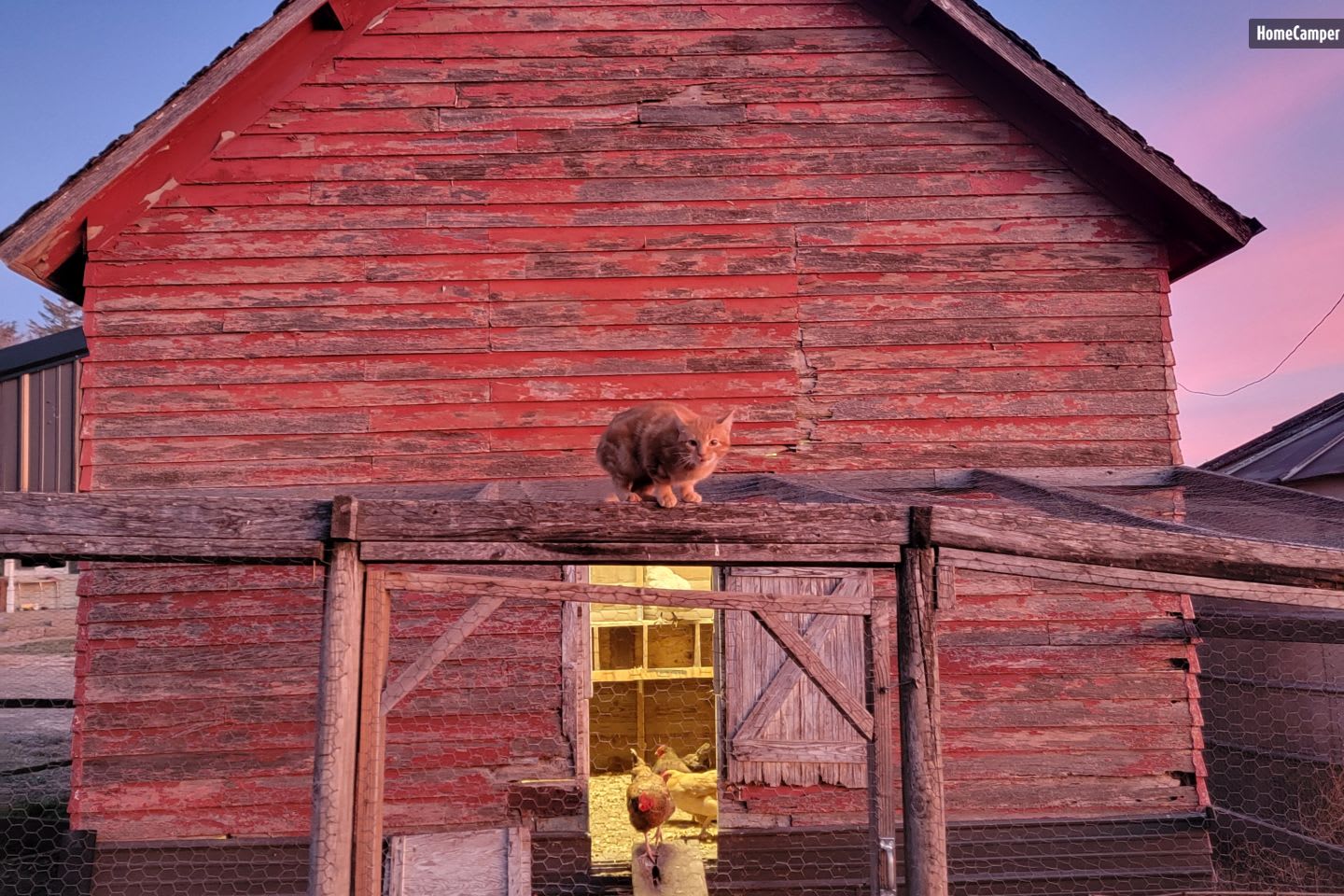 Schrodinger's Acres