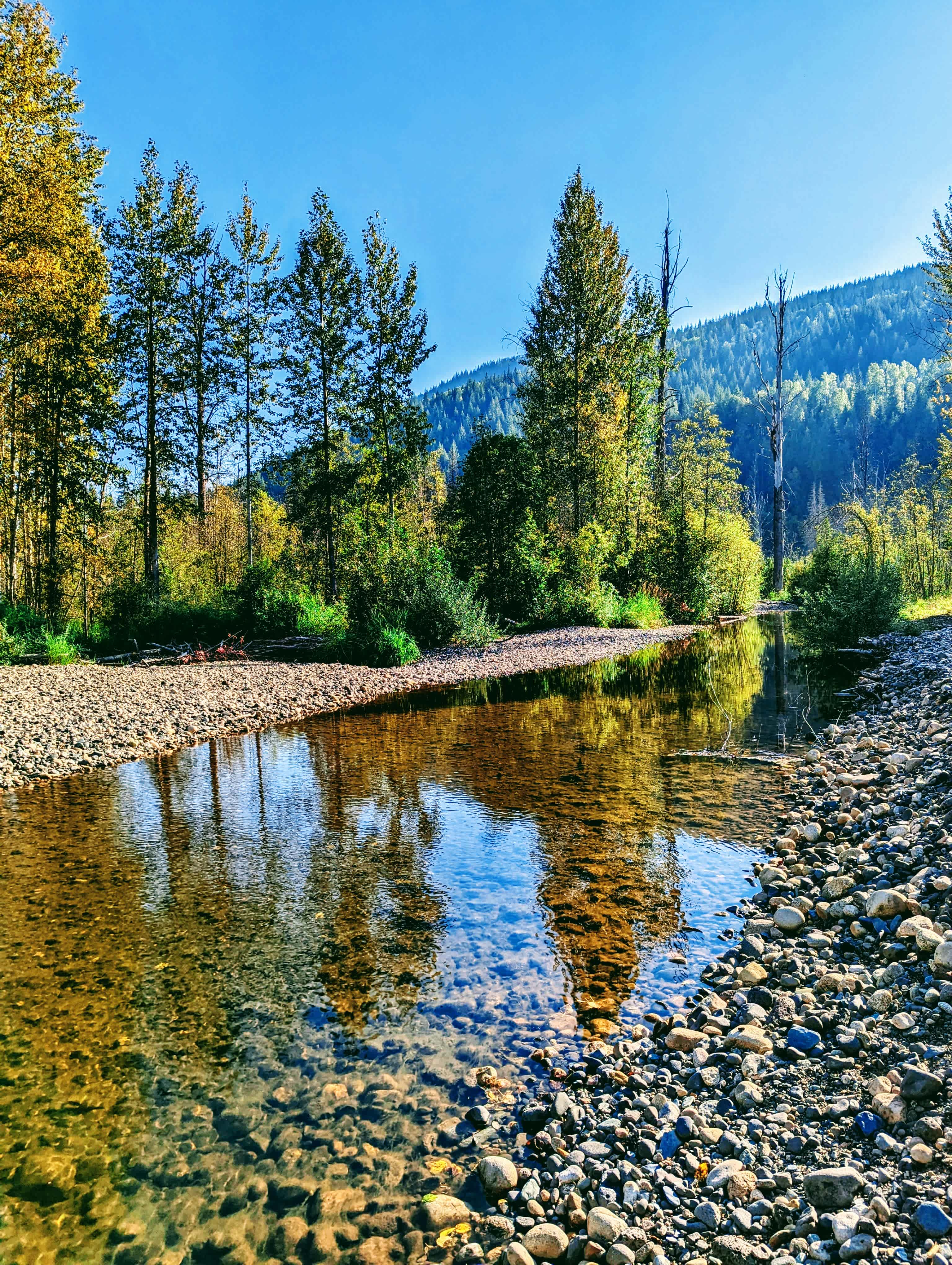 Wells Gray Golf & RV Resort