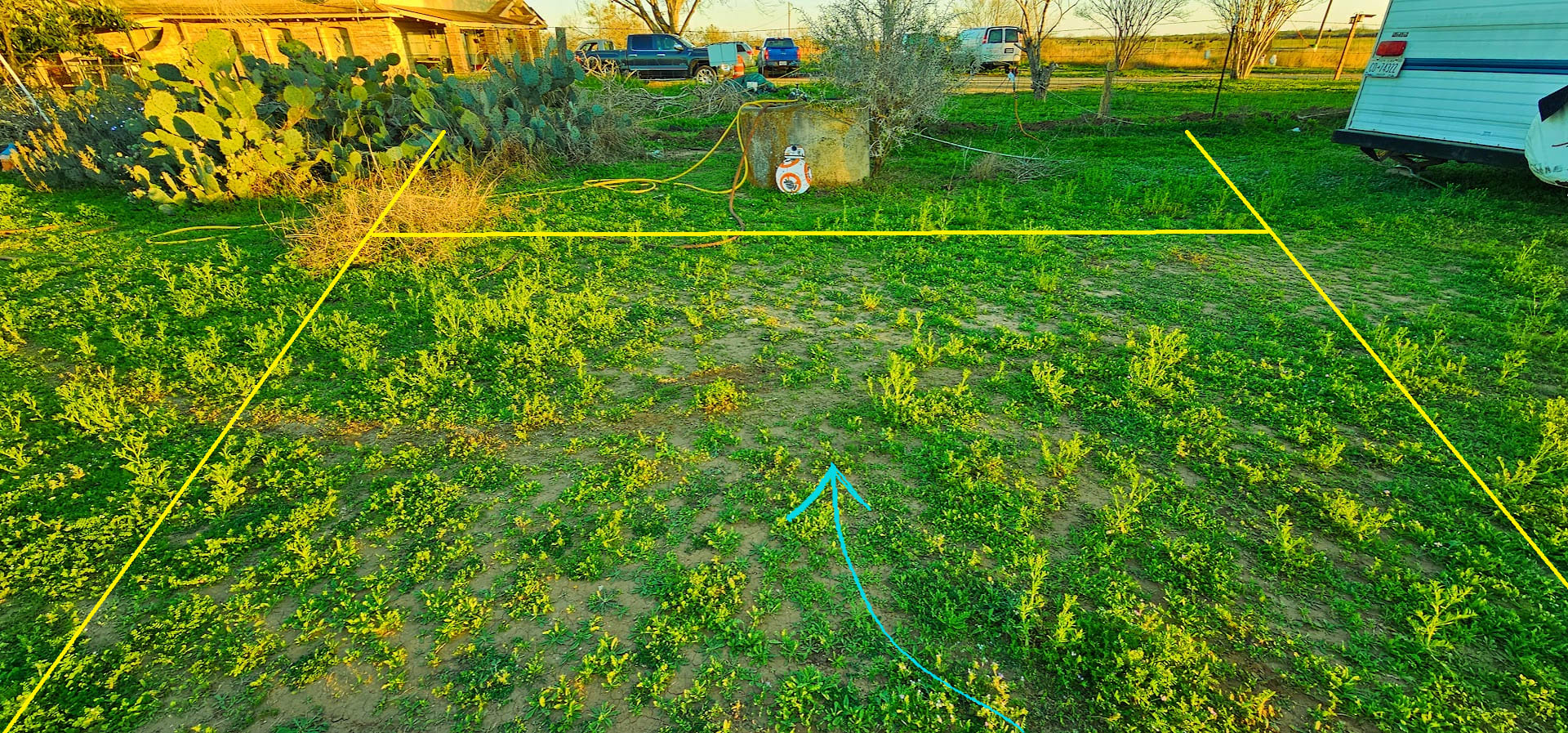 Picture of the site