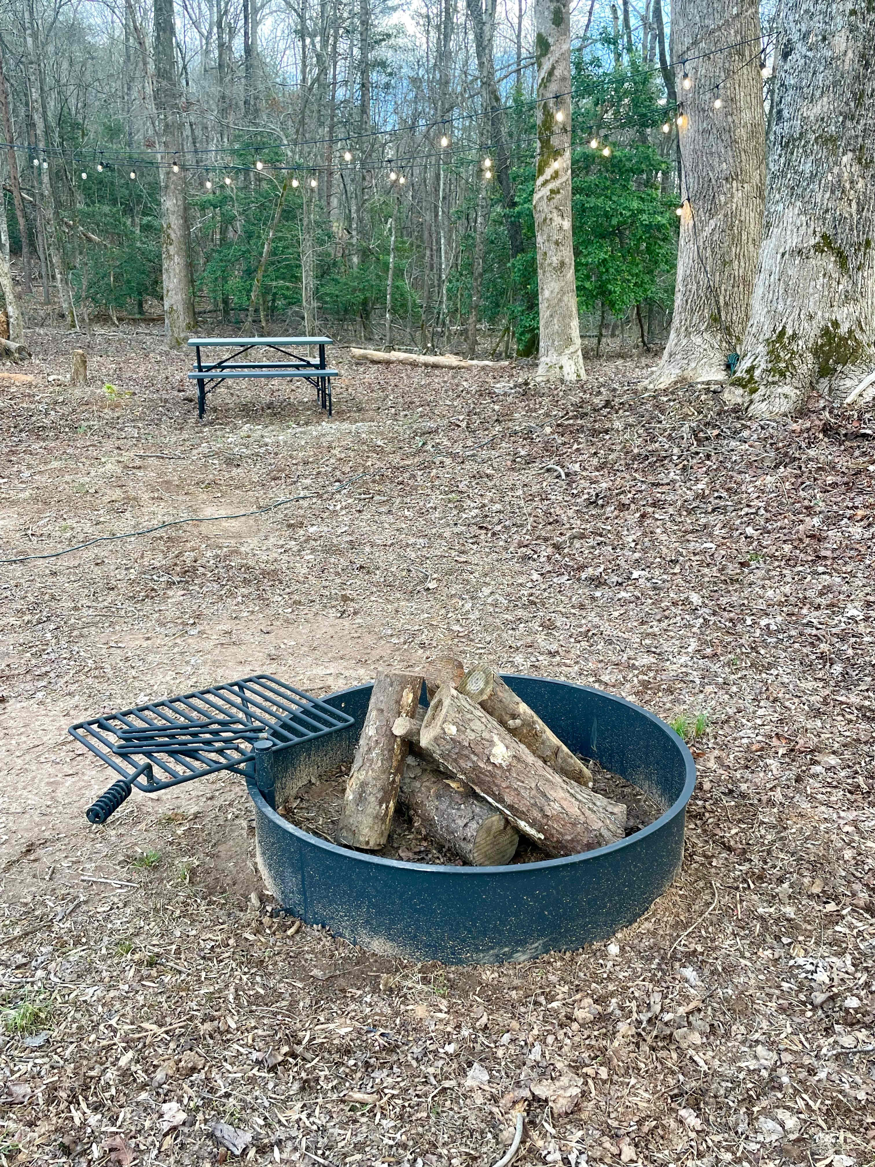 All the woods you need to gather firewood! 