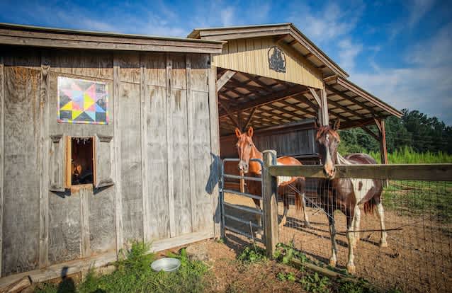 Eco-Friendly Glamping Tent