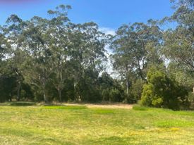 Platypus Creek