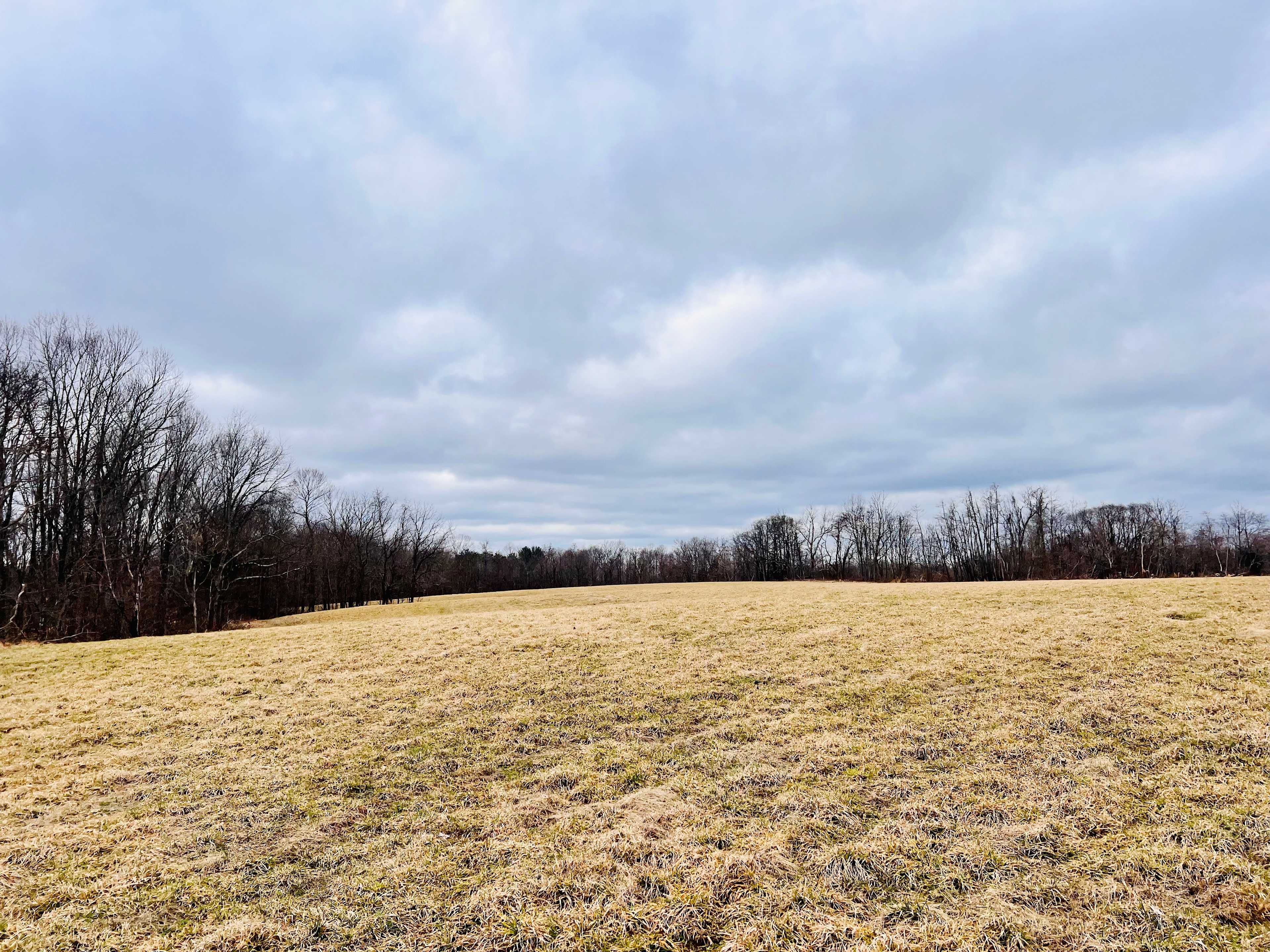 Buena Vista Farms