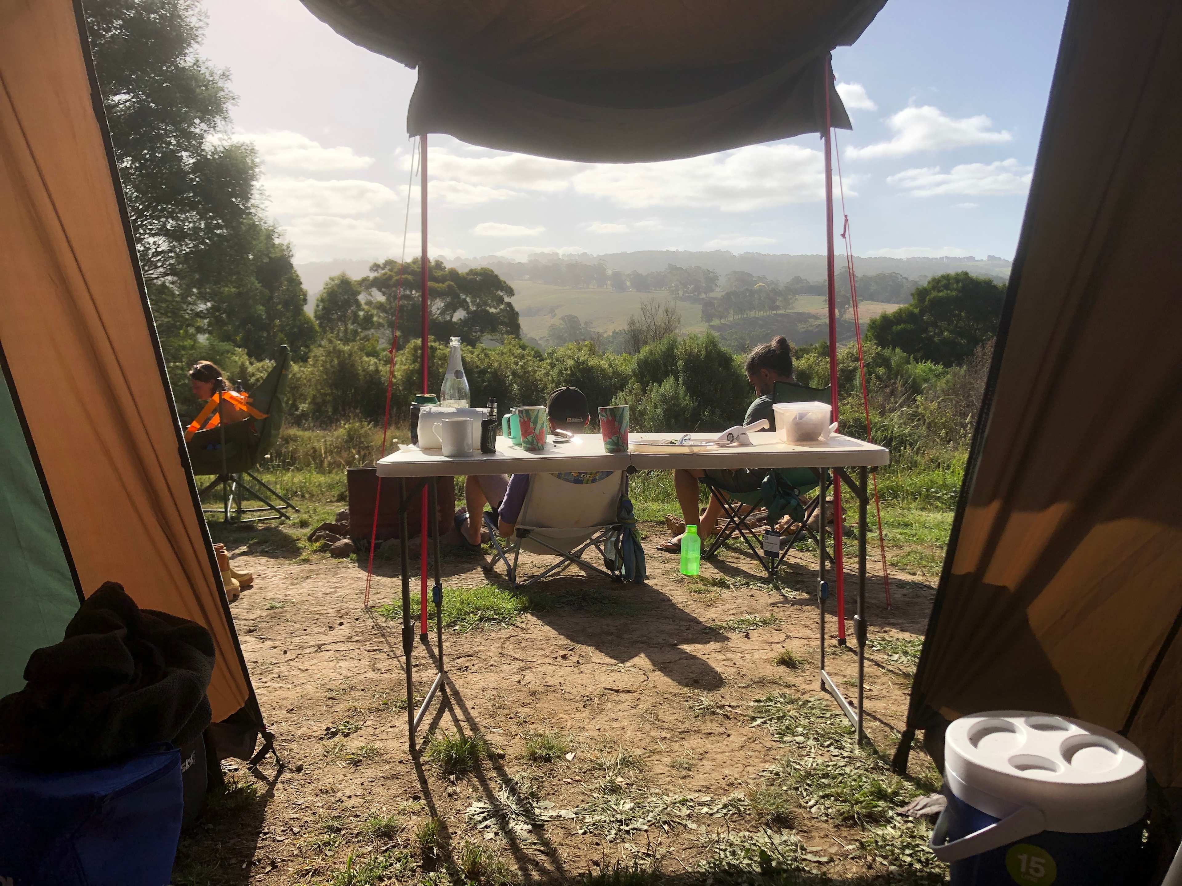 Picture of the site