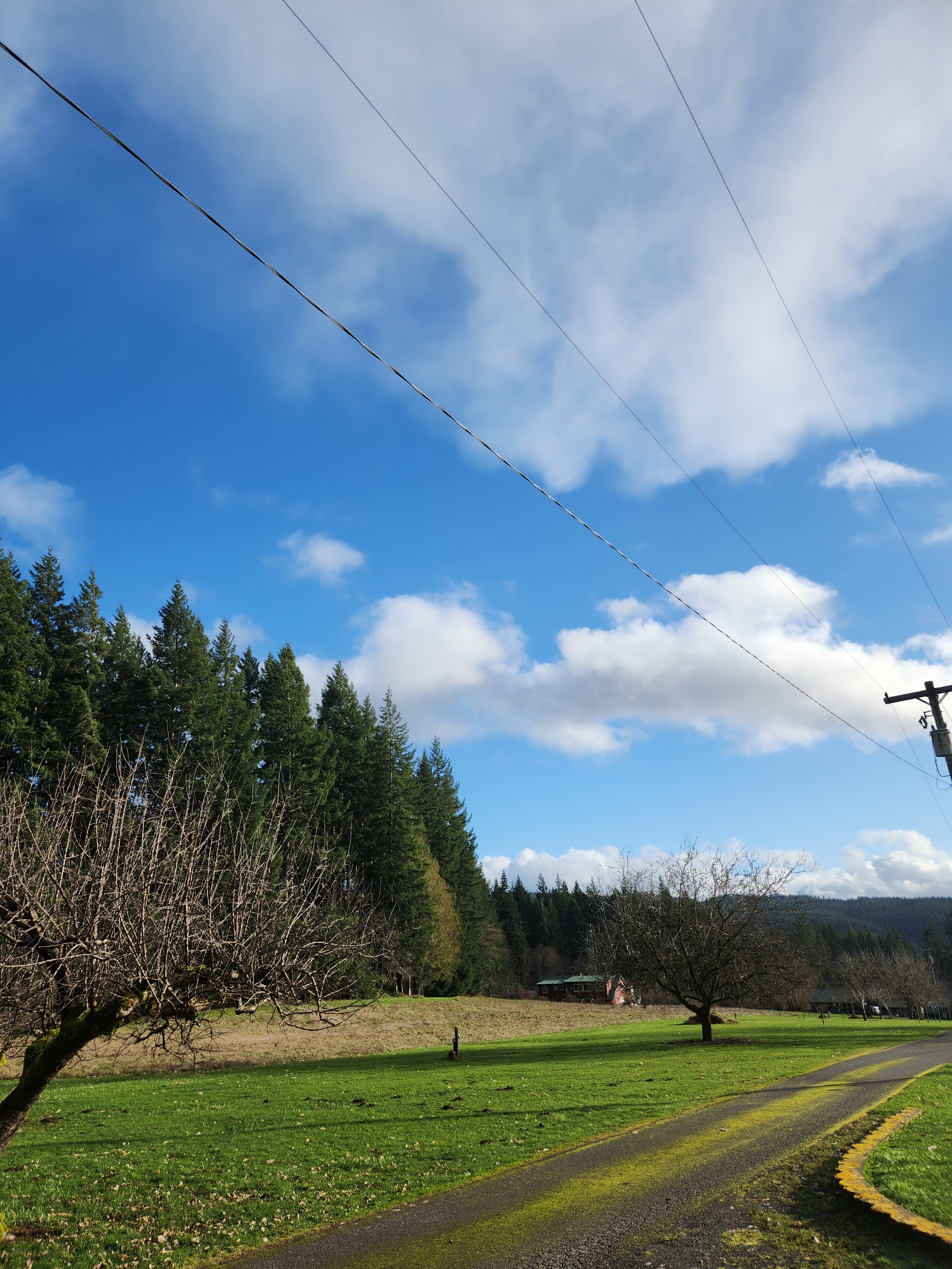 RV+ Rainbow Falls / Willapa Trails