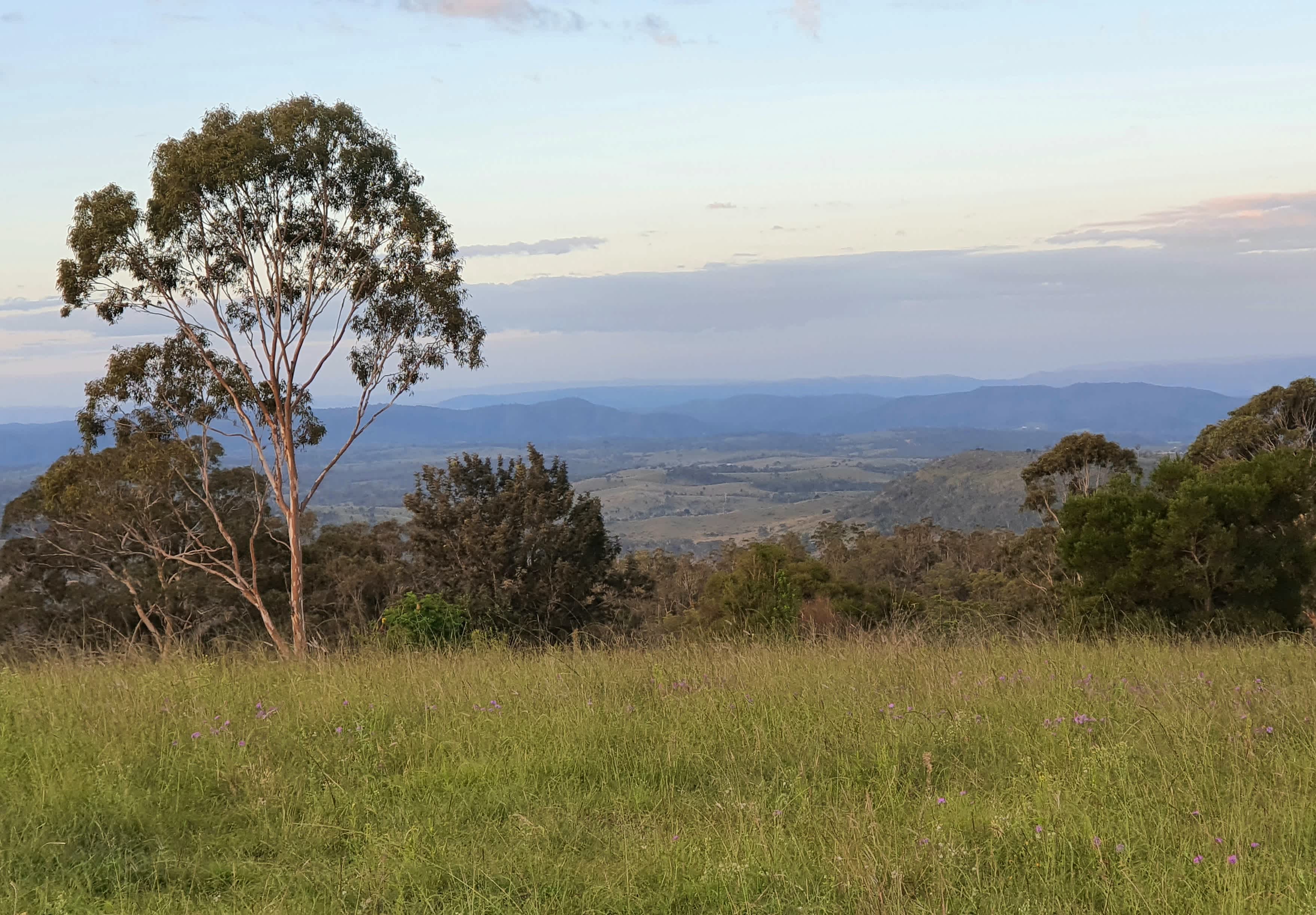 Hilltop Farm, Camping and Glamping.