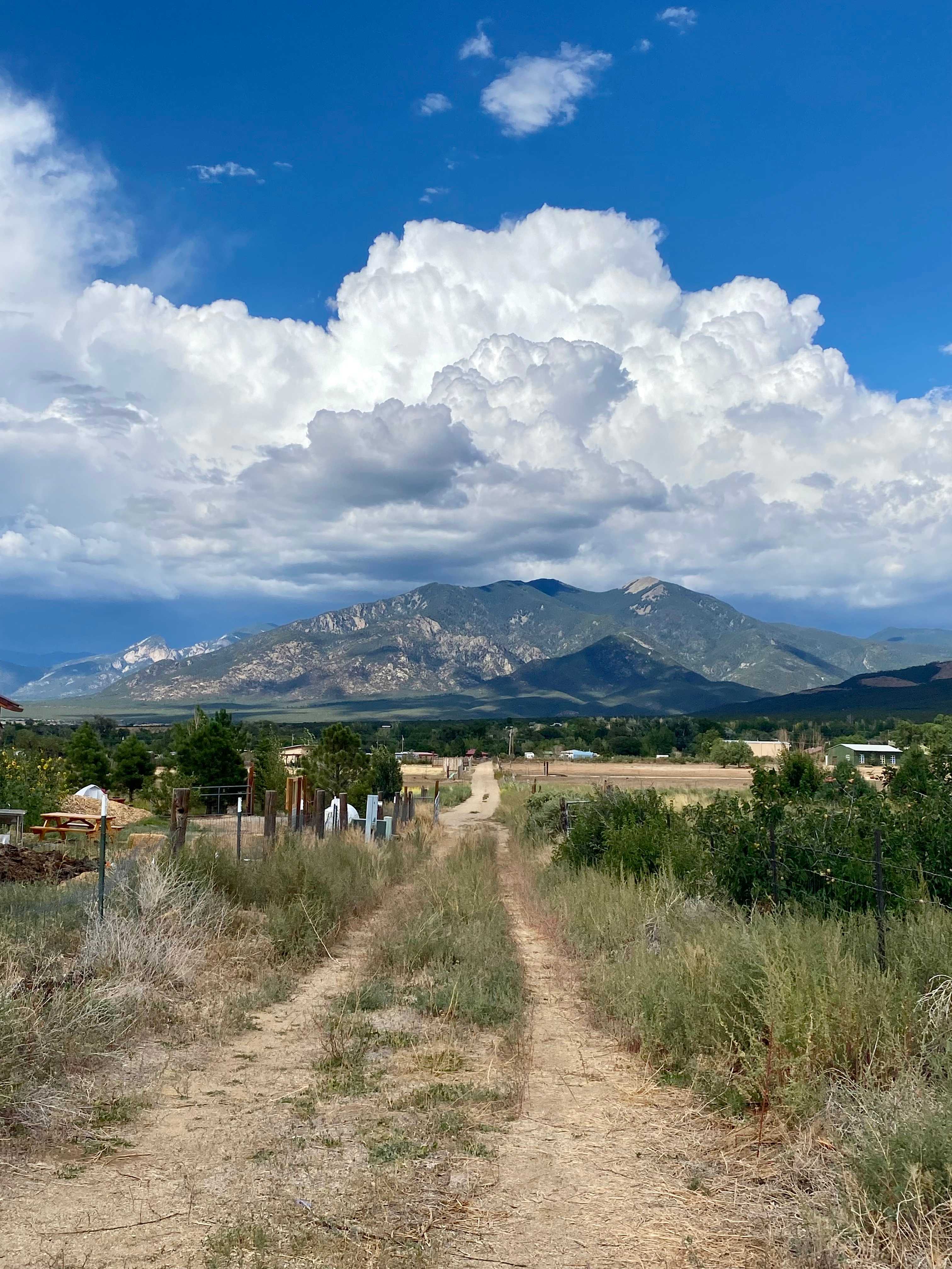 HarmonyTaos Regenerative Farm