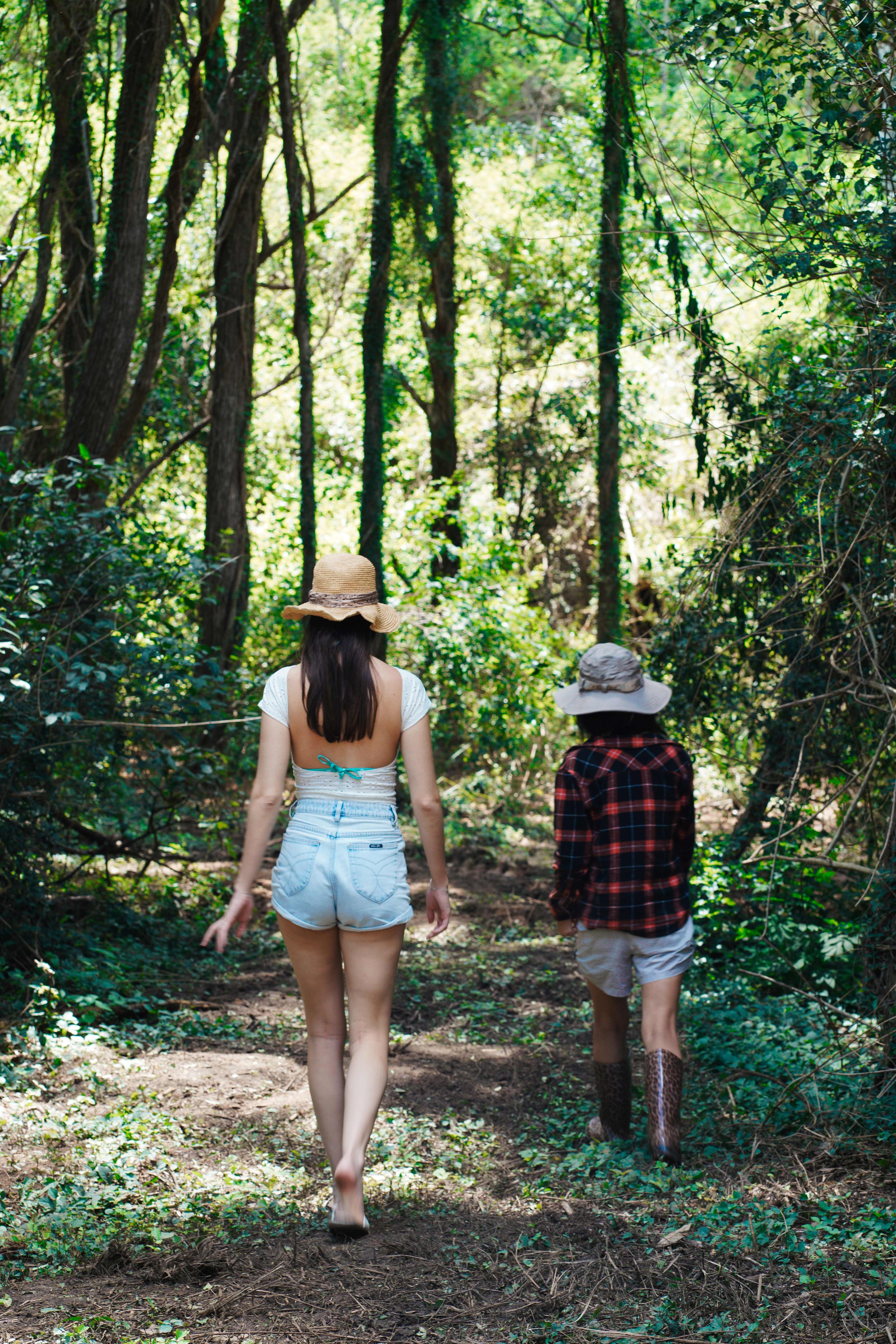 lovely walks through the property