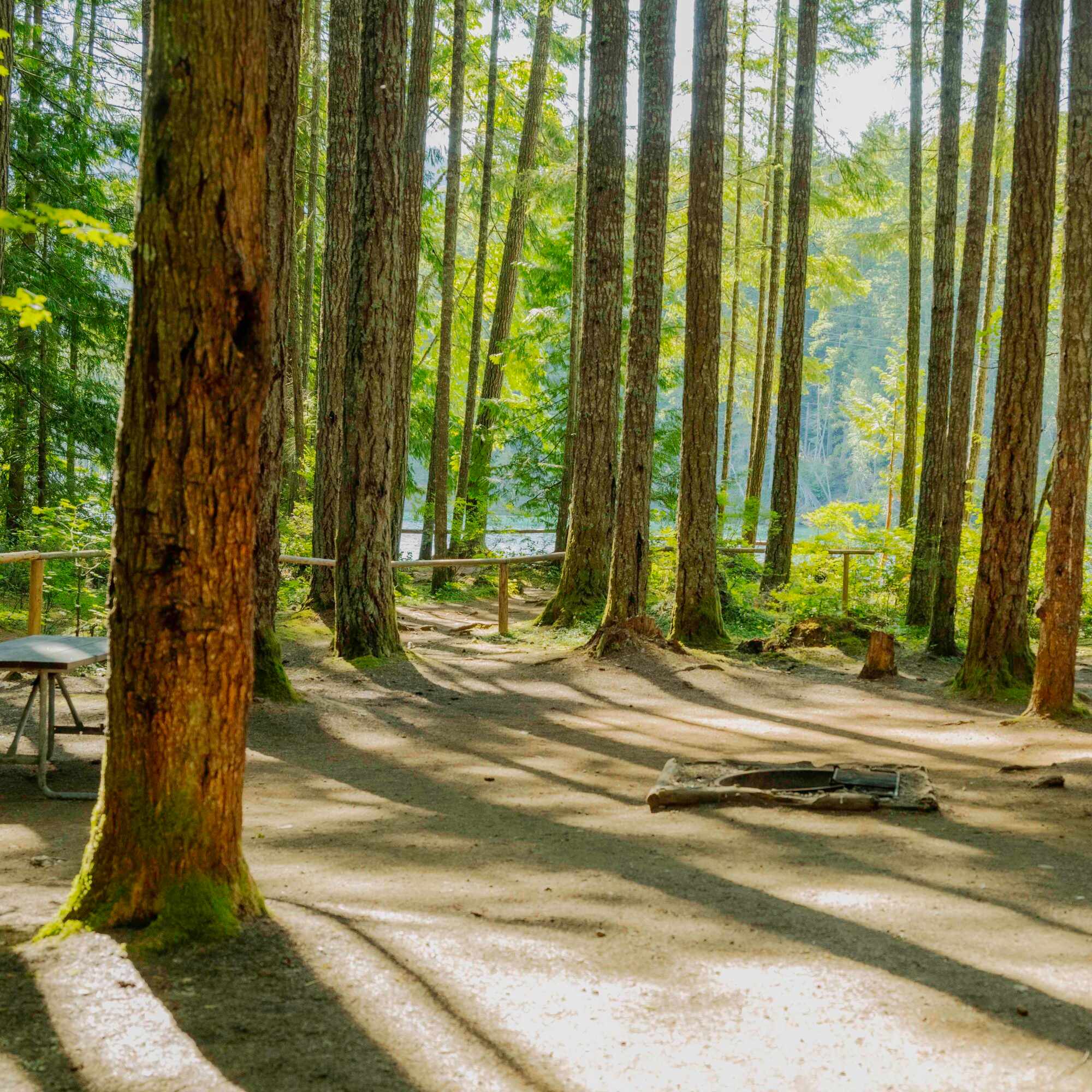 Picture of the site