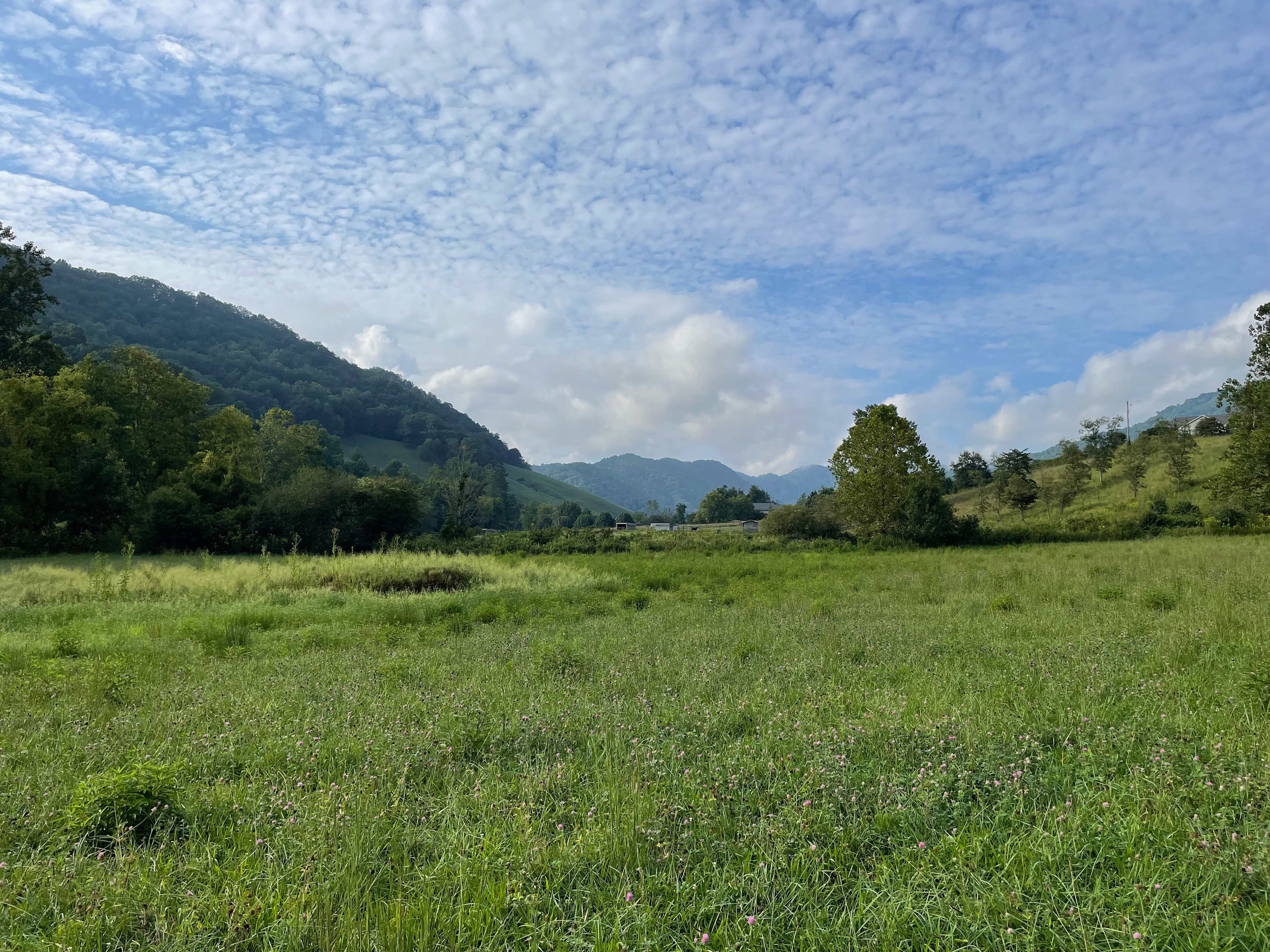 Turkey Creek Oasis~valley views