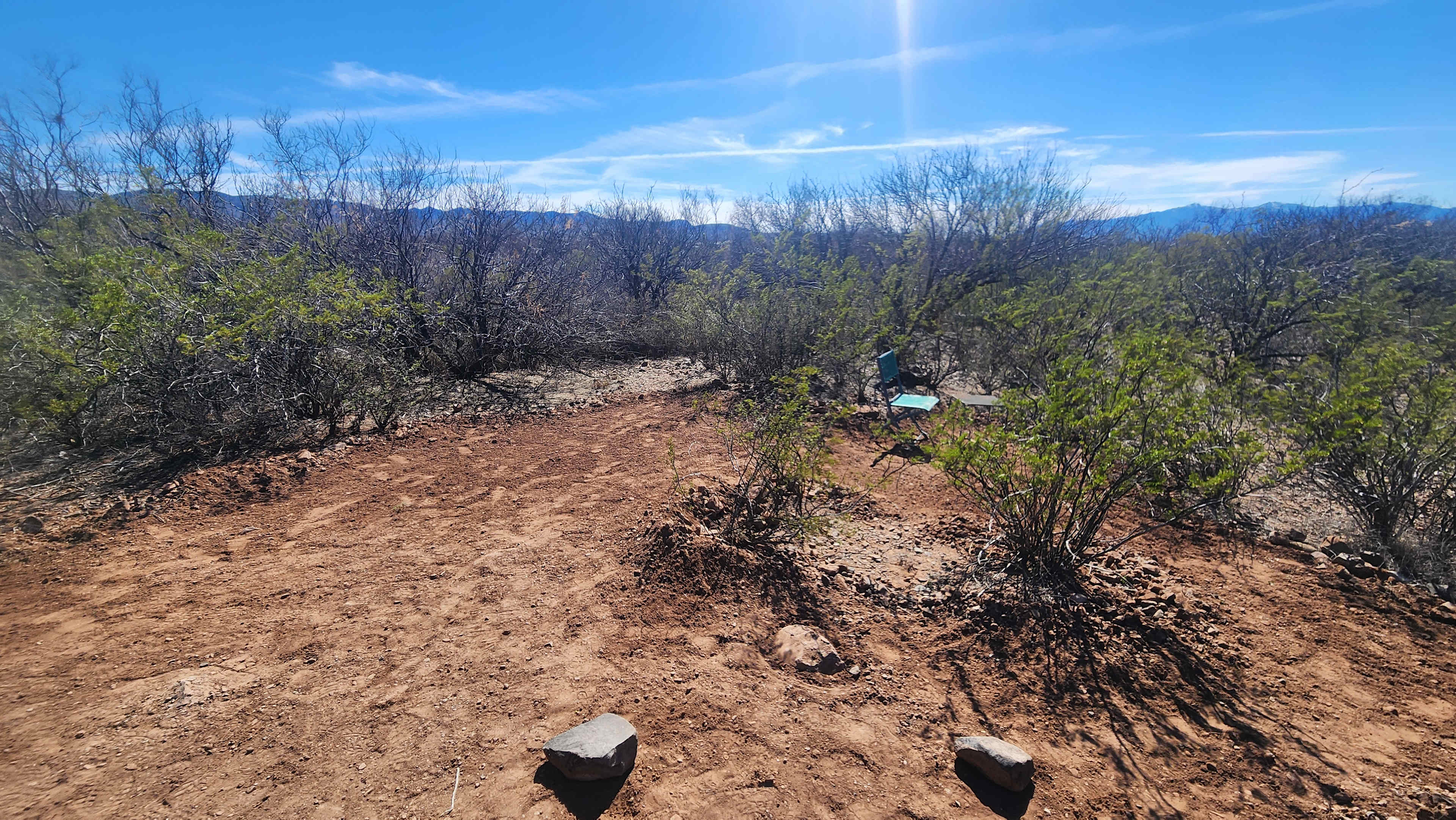 Picture of the site