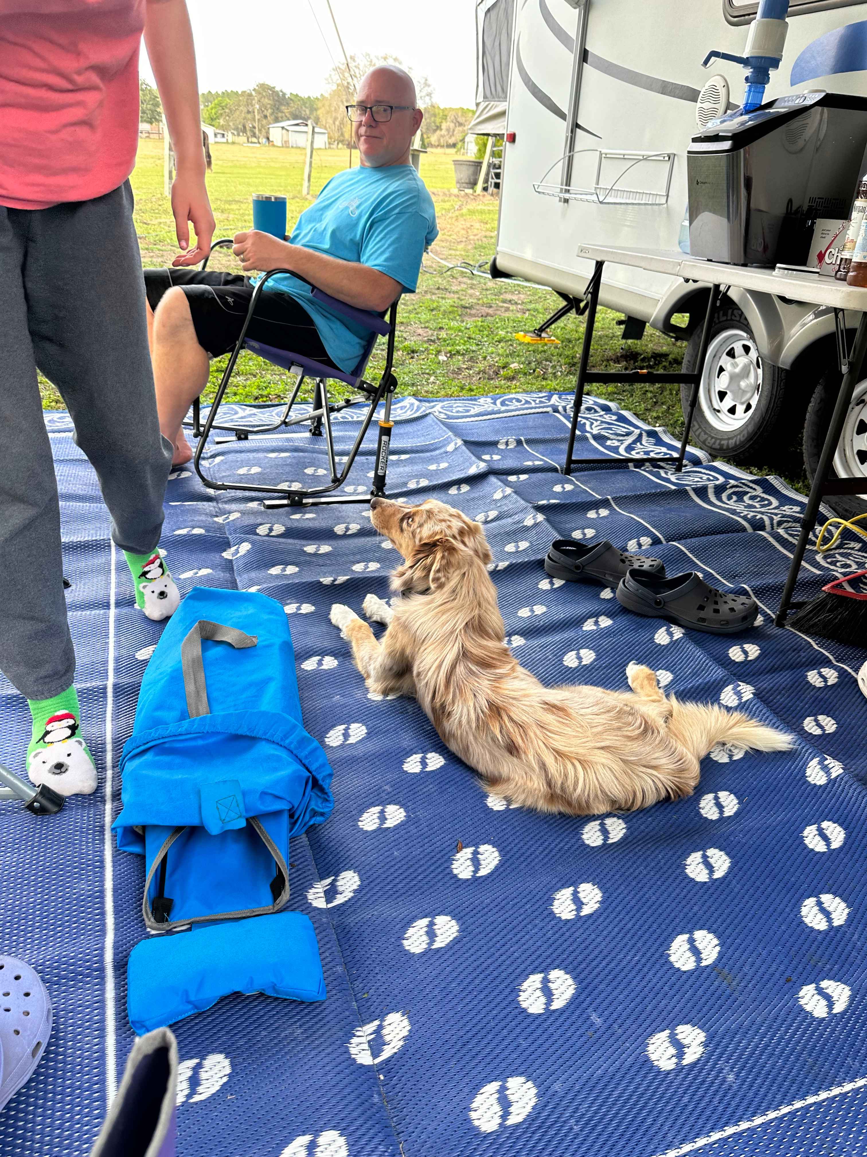 Florida Farm School & Animal Rescue