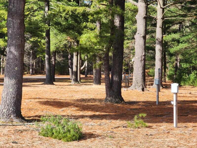 Airborne Park Speedway Campground