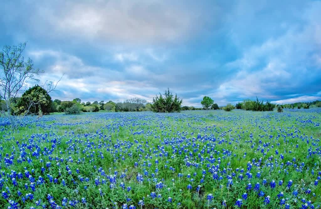 Off The Beaten Path Ranch
