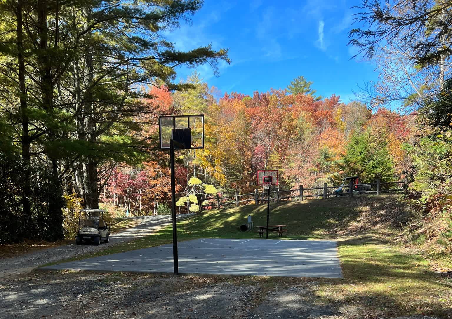 Picture of the site