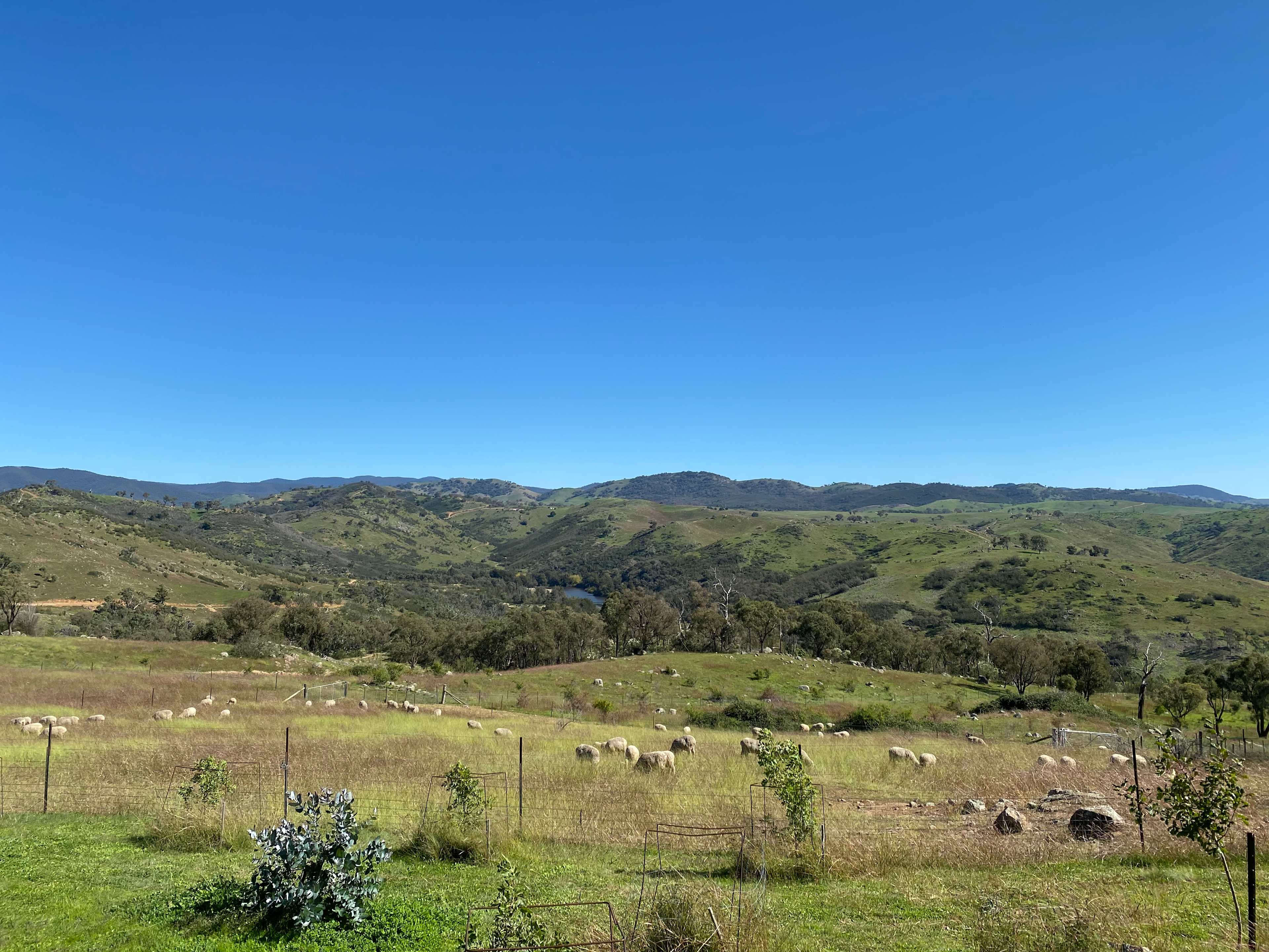 Burrendah Farm Camp