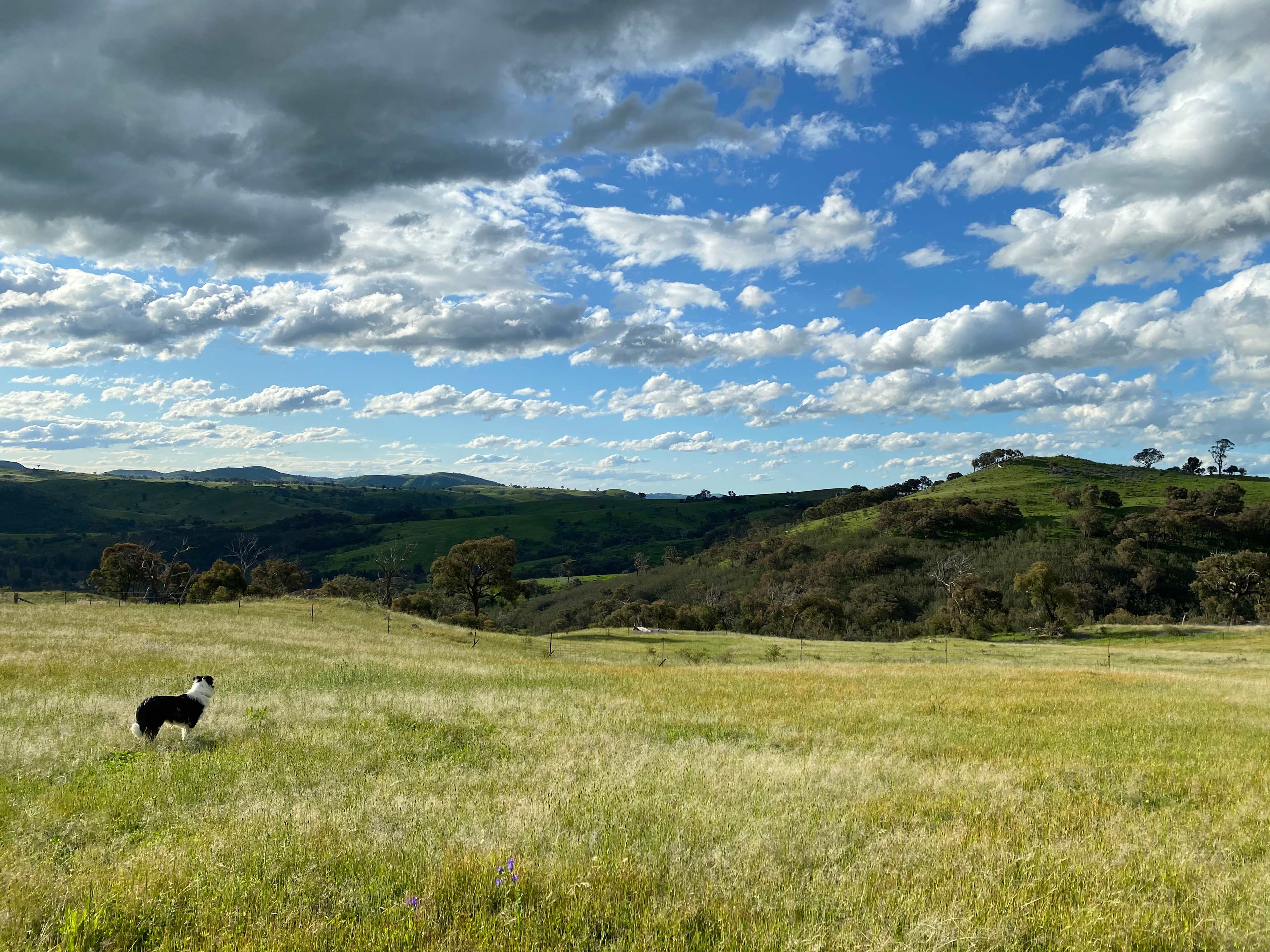 Burrendah Farm Camp