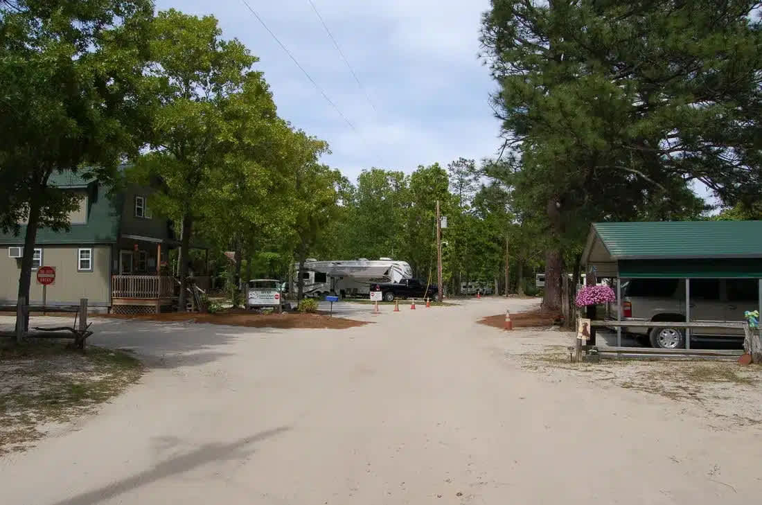 Picture of the site