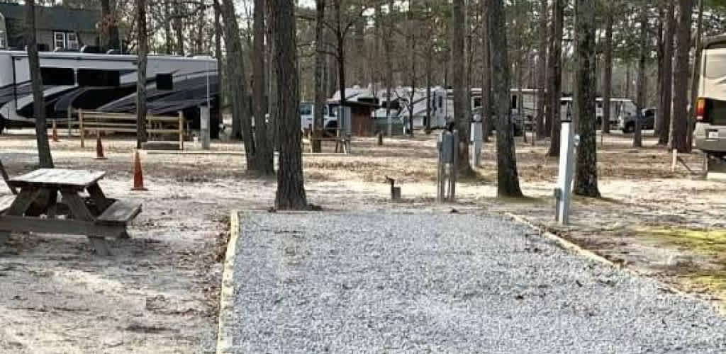 Picture of the site