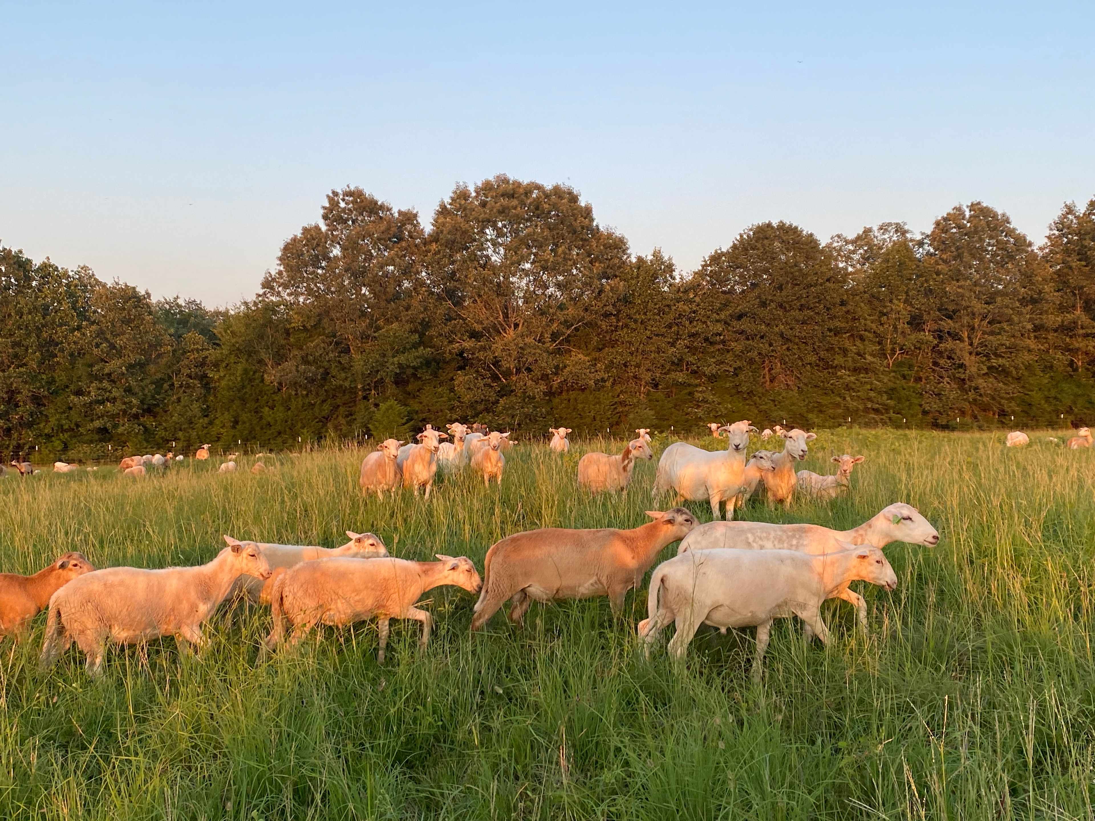 M & K Farm
