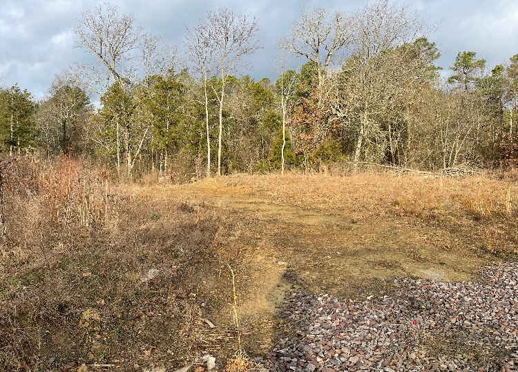 3Ponds Beaver Dam