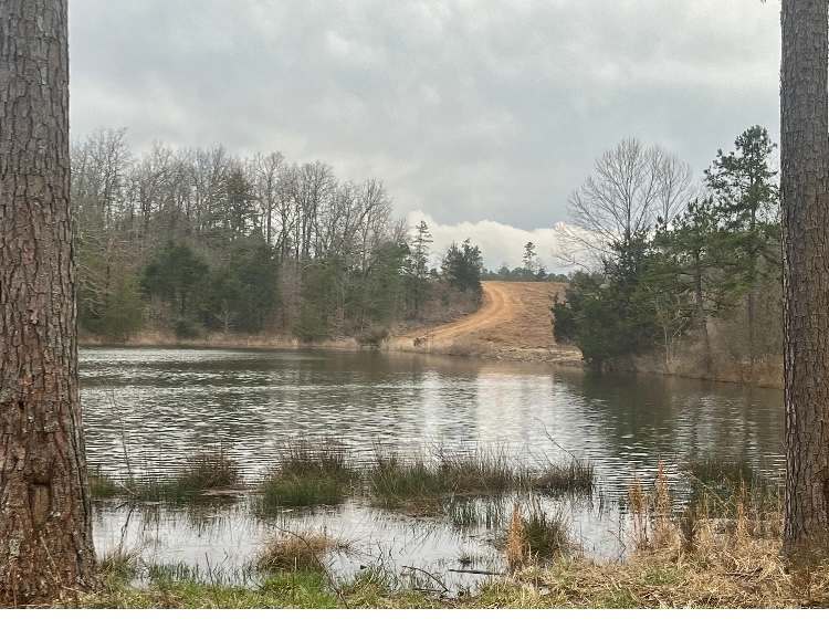 3Ponds Beaver Dam