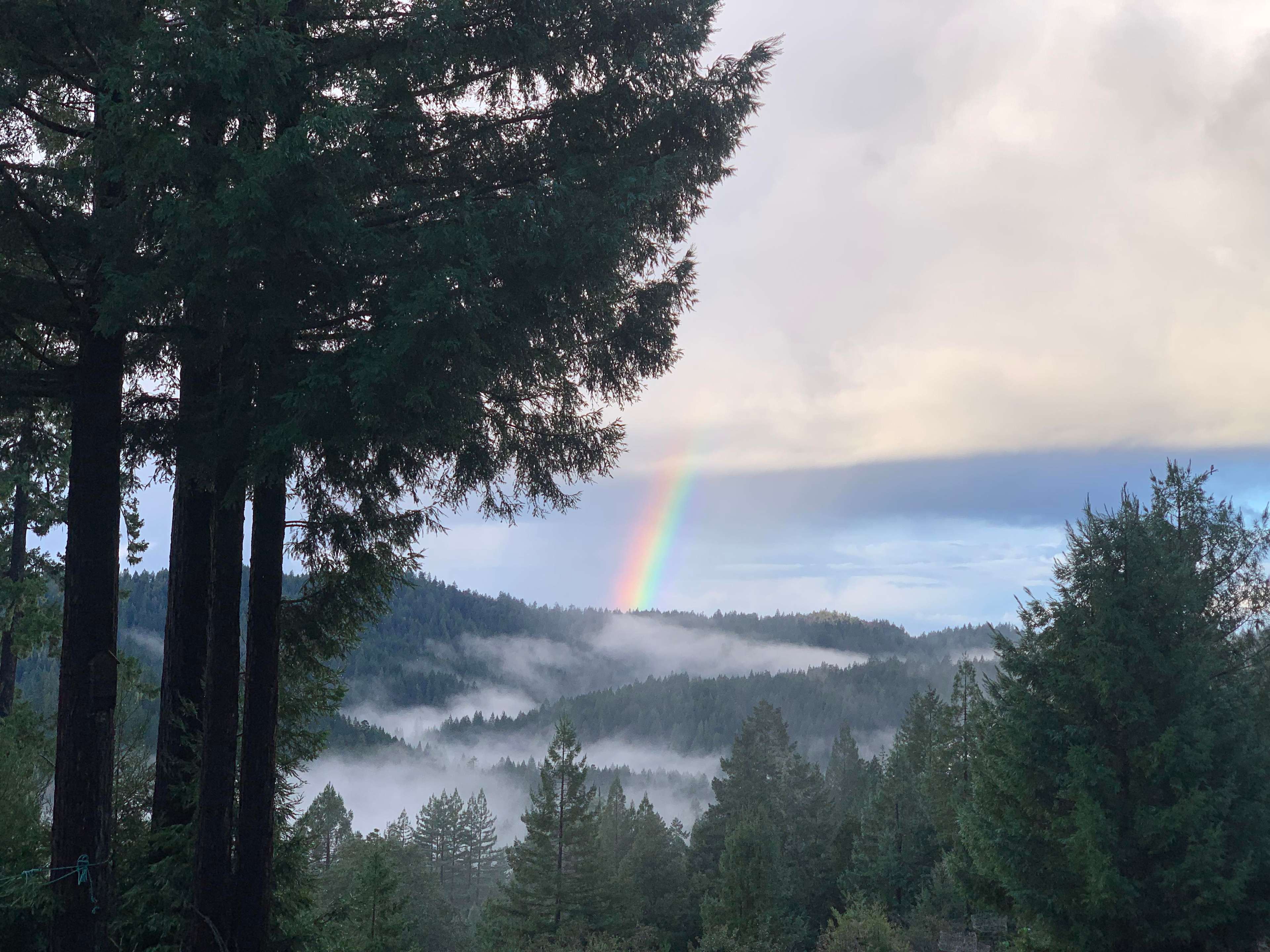 View from our house
