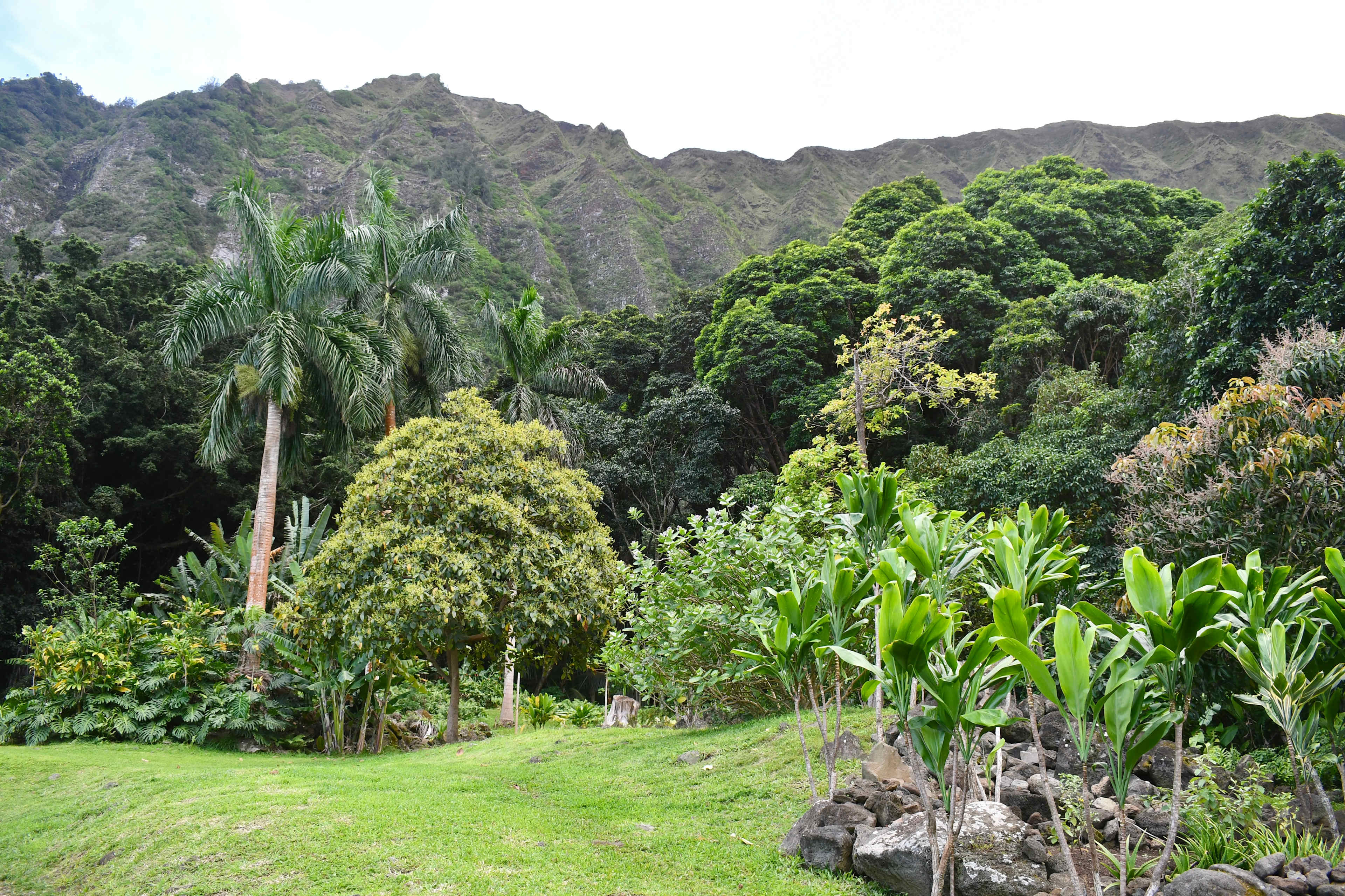 Secluded Mountain Farmstay