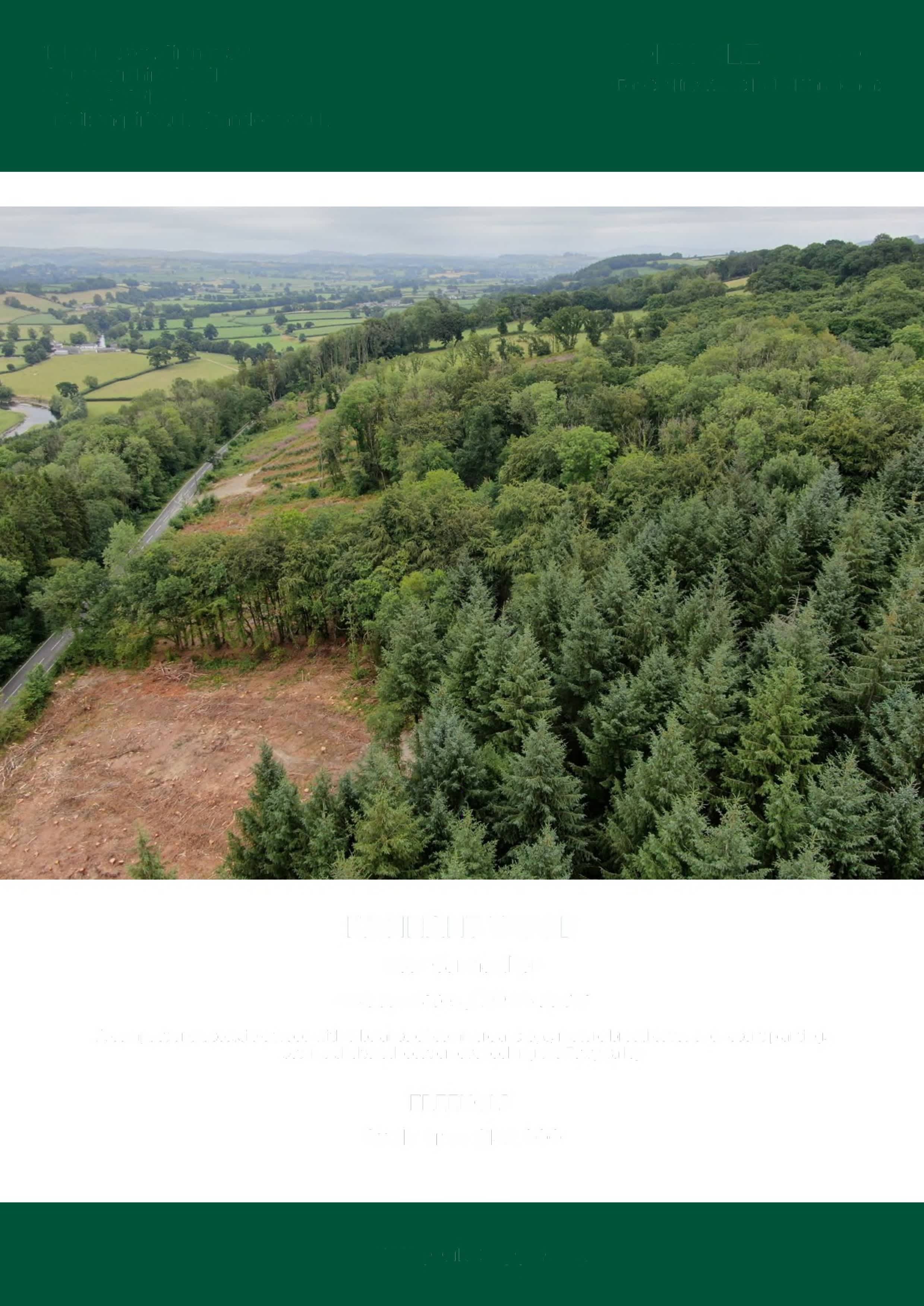 Finnant Wood Wild Camping