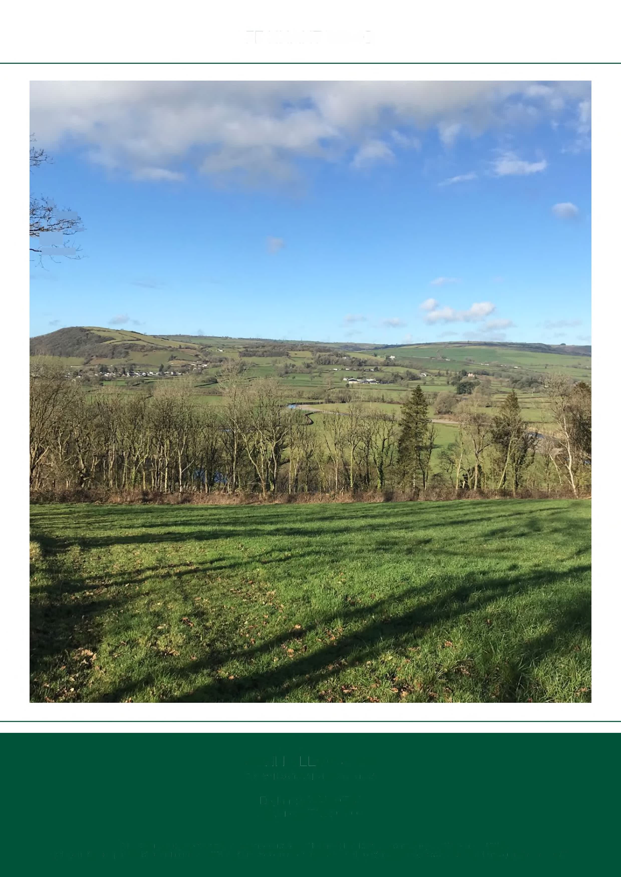 Finnant Wood Wild Camping