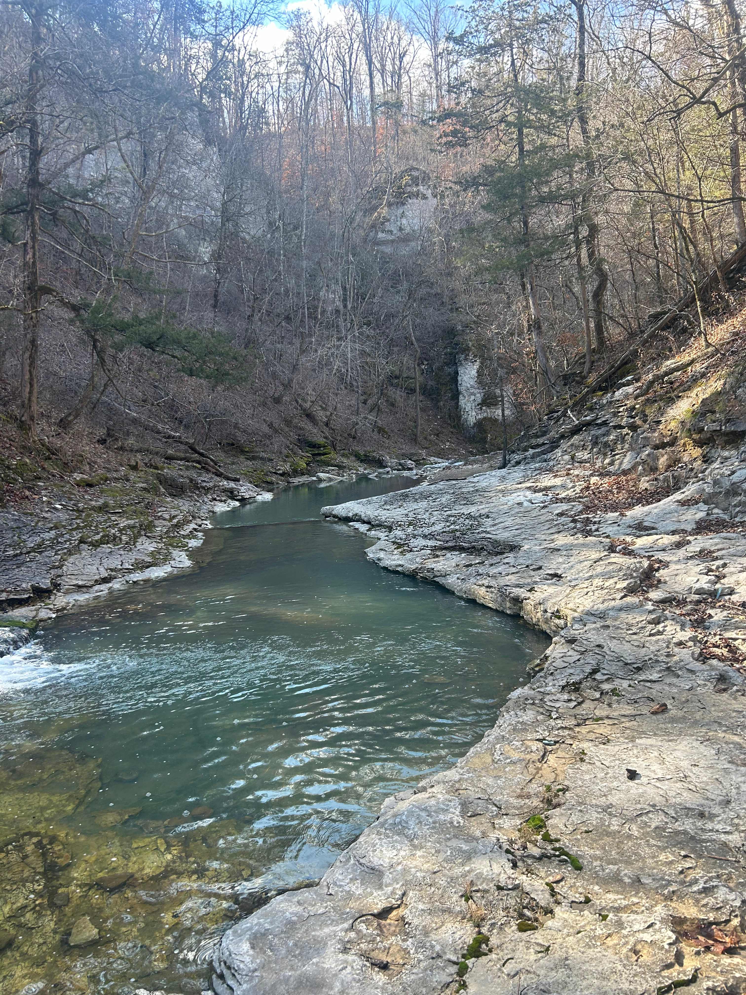 Eden Springs