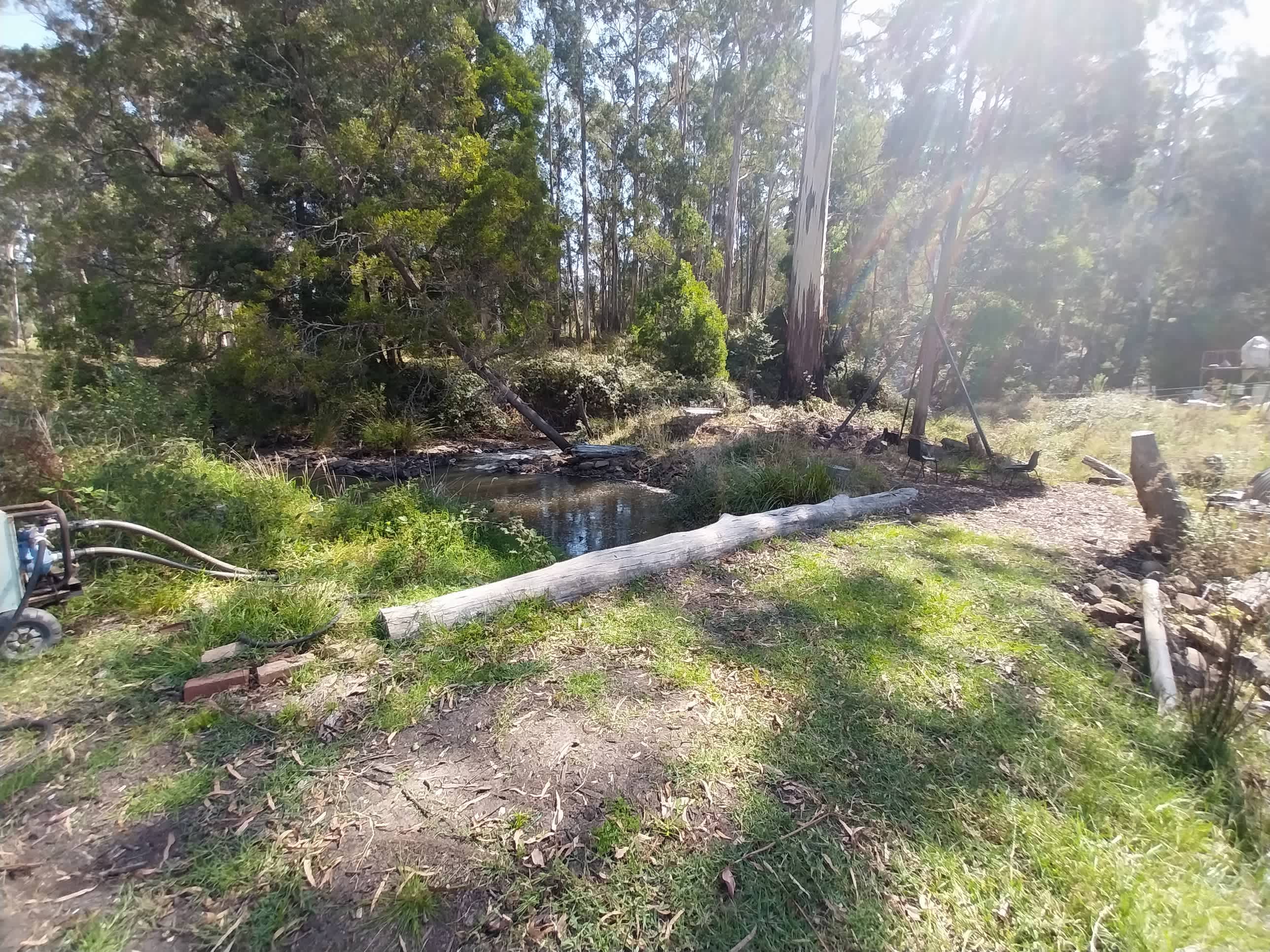 Picture of the site