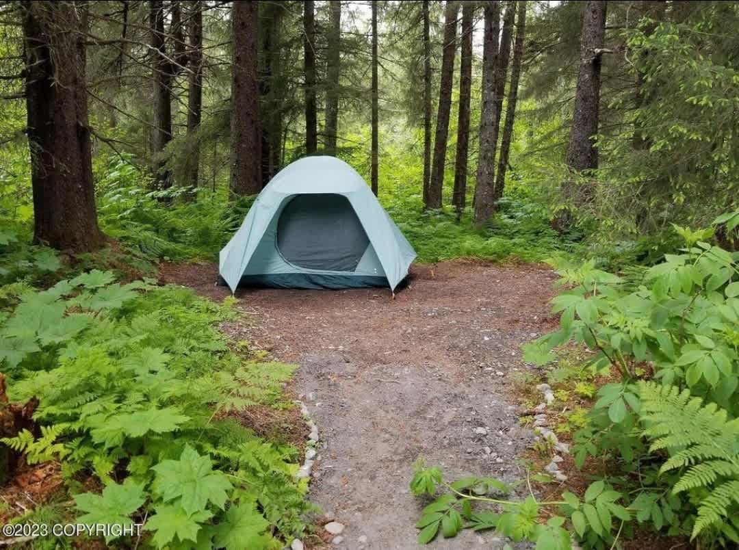 Bear Necessities Cottages