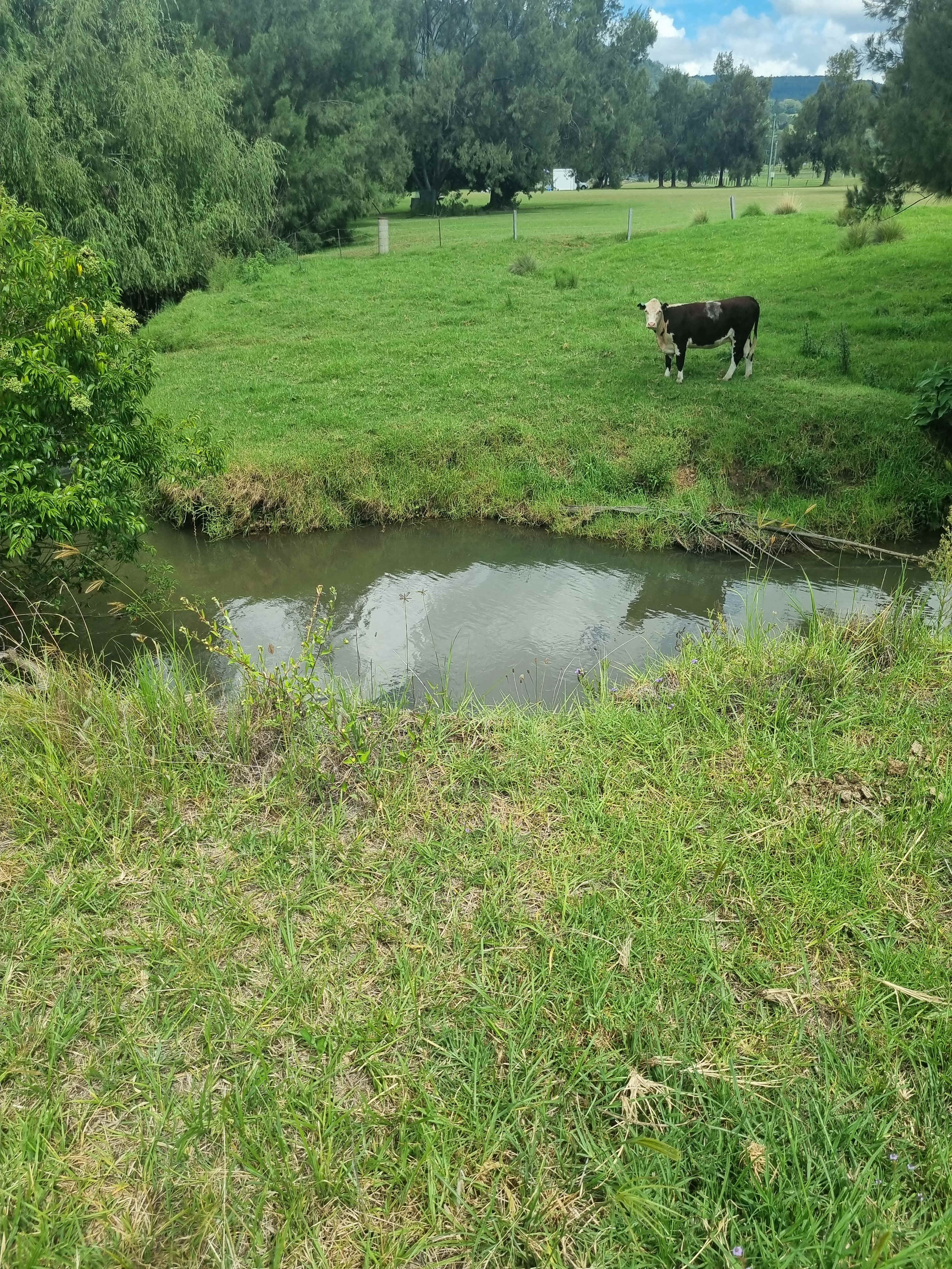 Elliam Farm