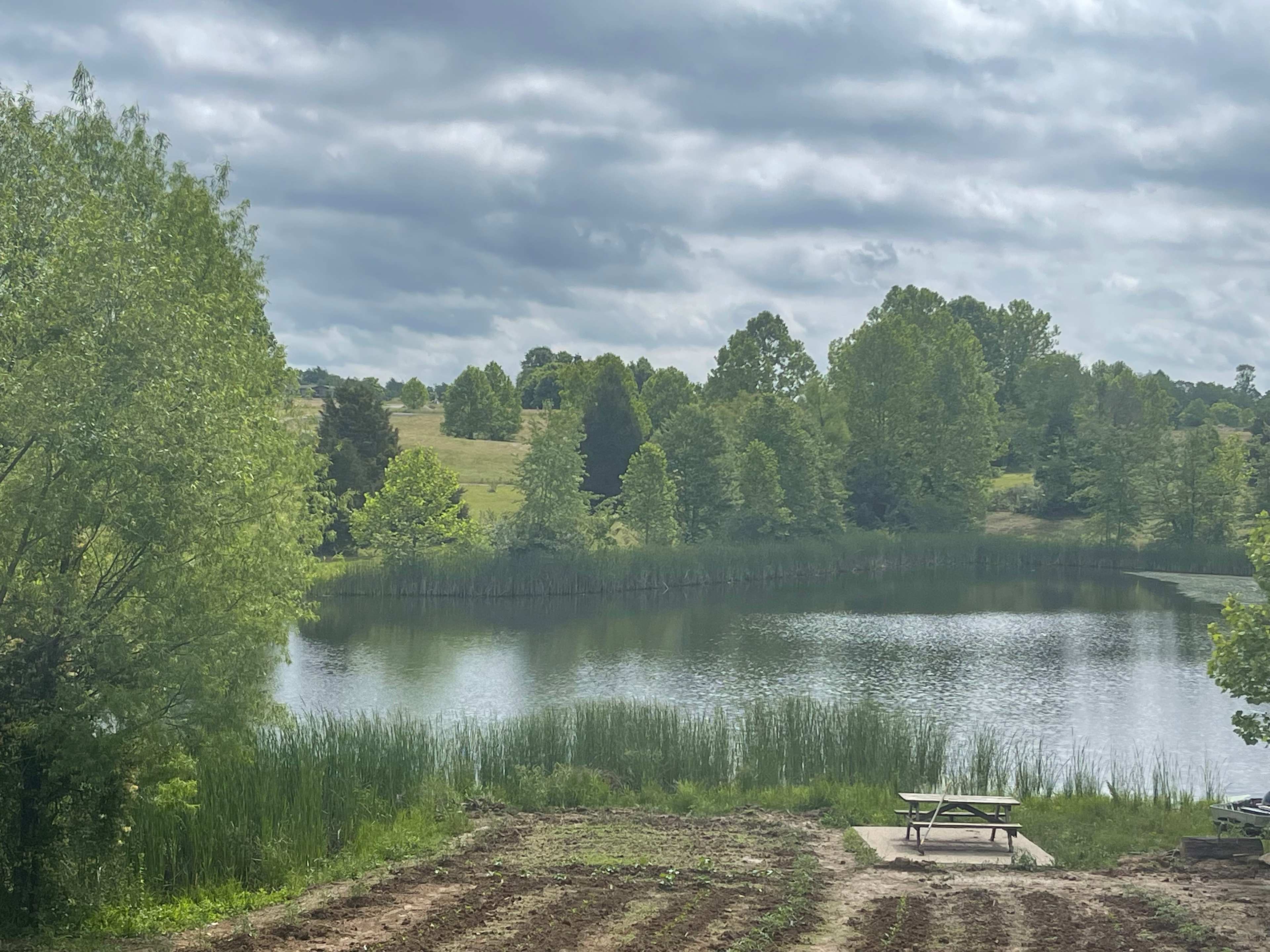 Carefree Rv Park & Campground
