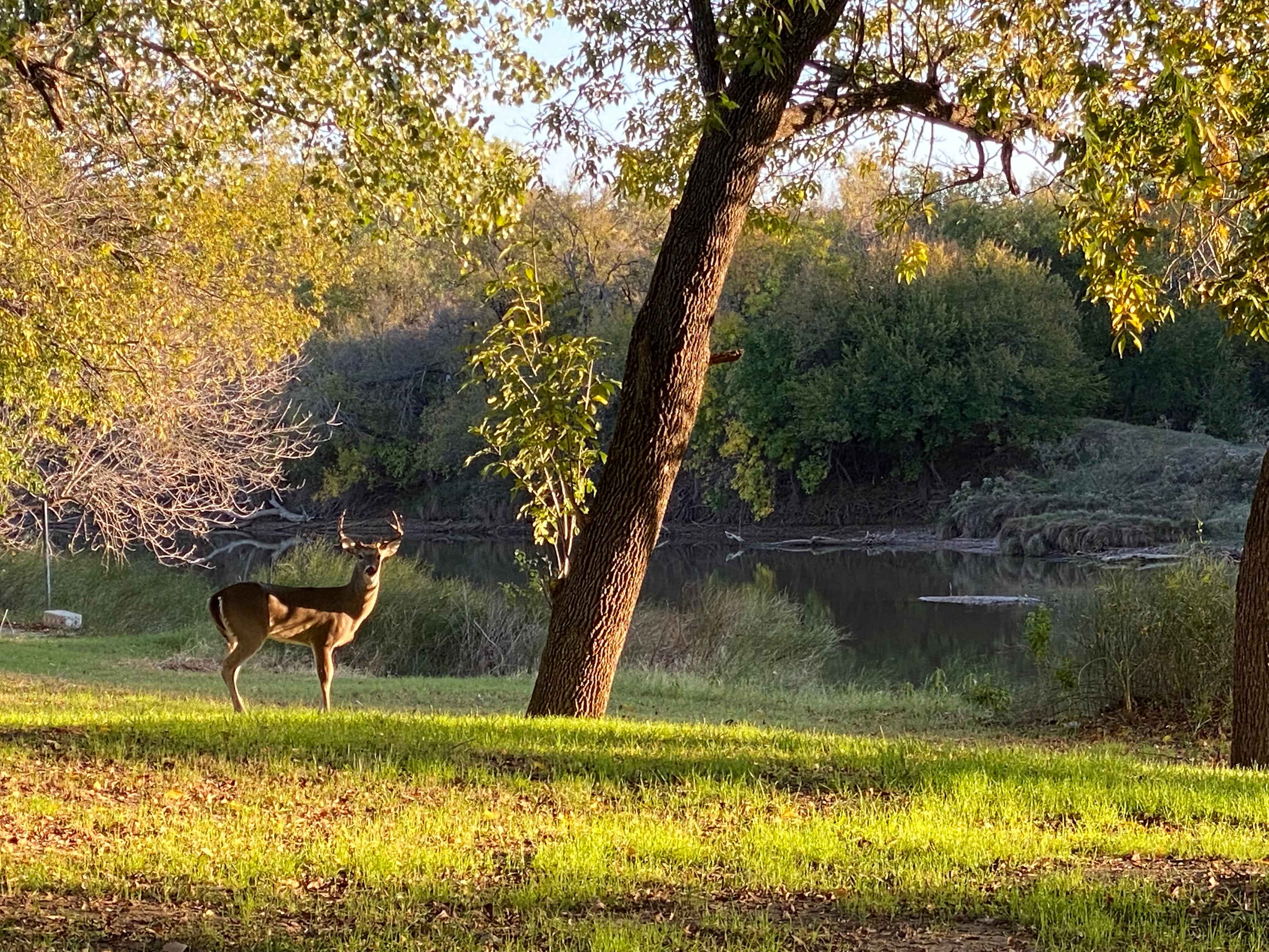 Brazos River Camp