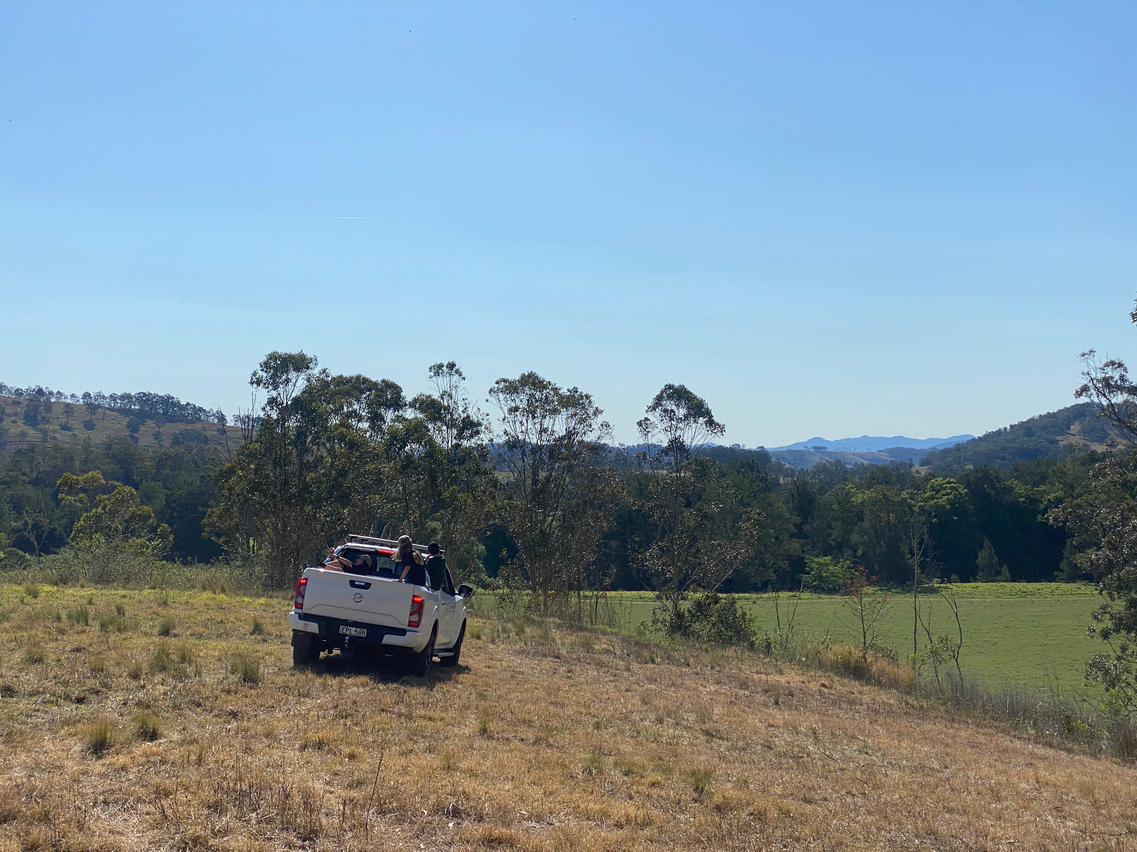 Blackwood Hill