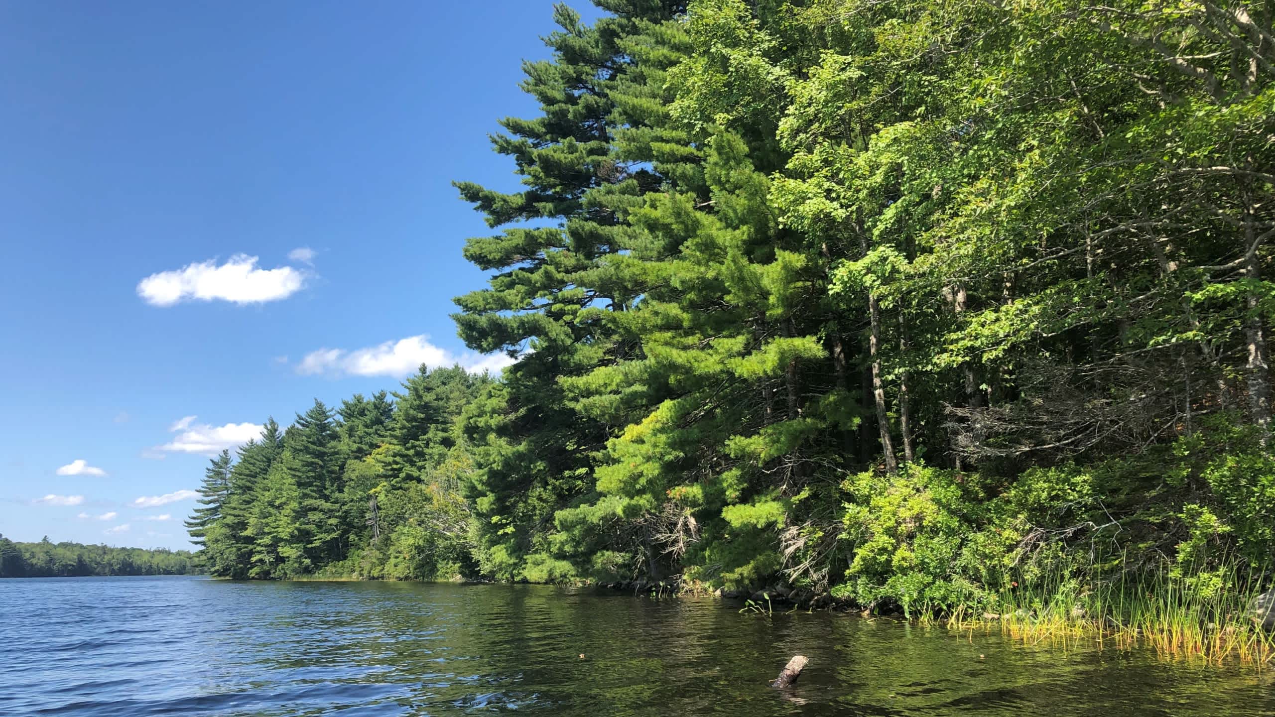 Sharkbite Adventures Private Camp