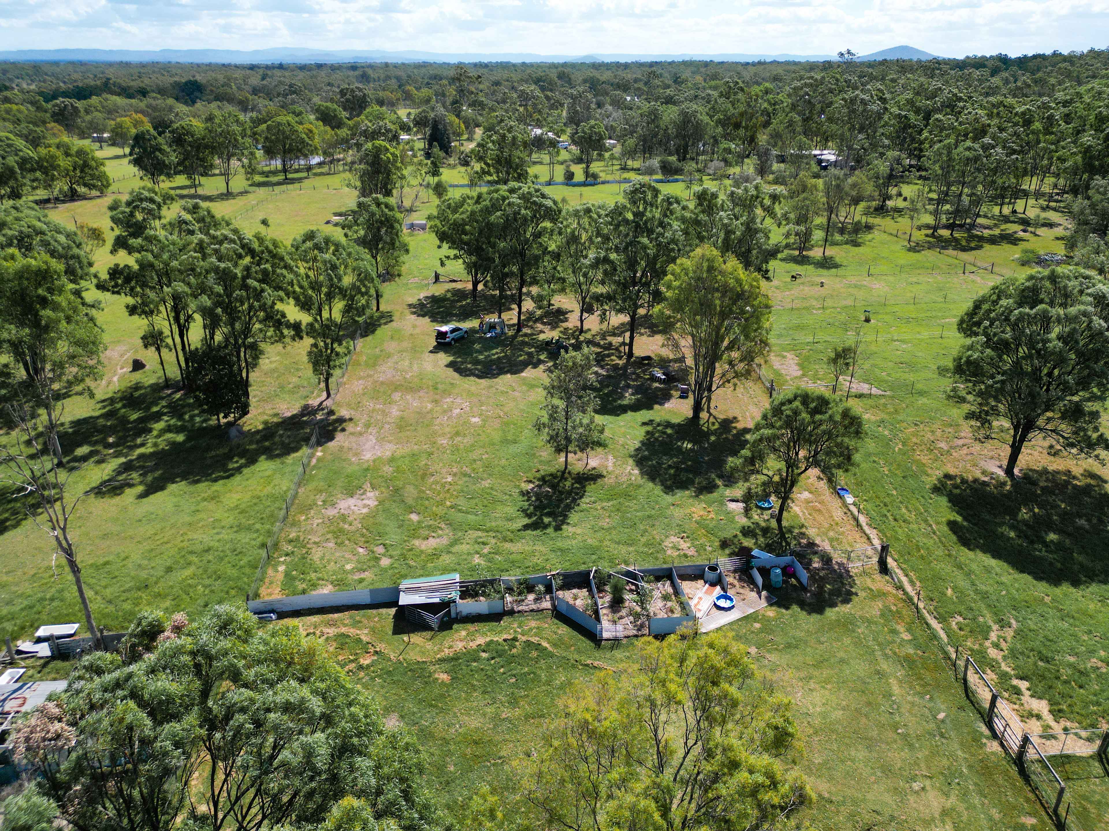 the middle paddock