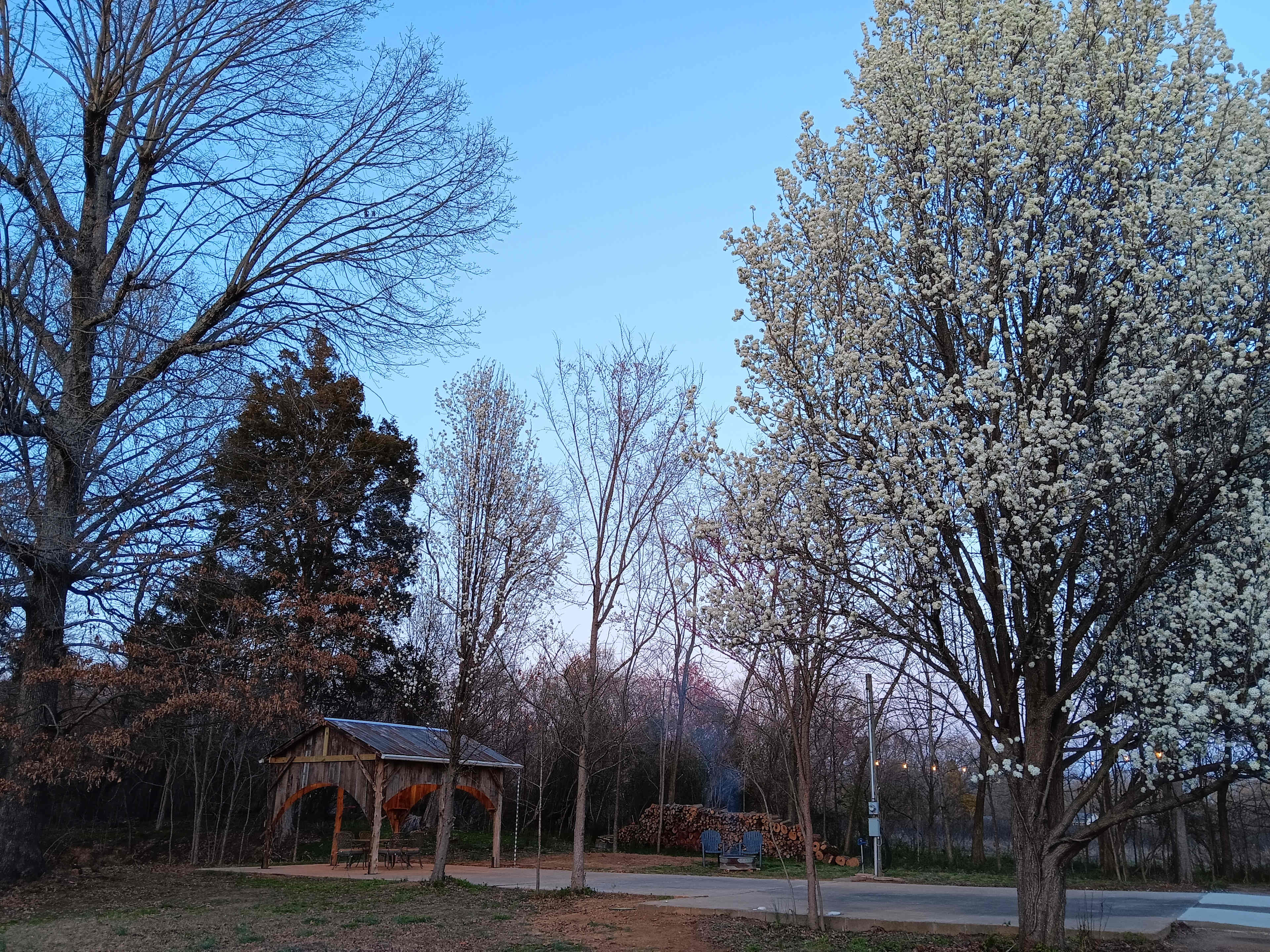 Picture of the site