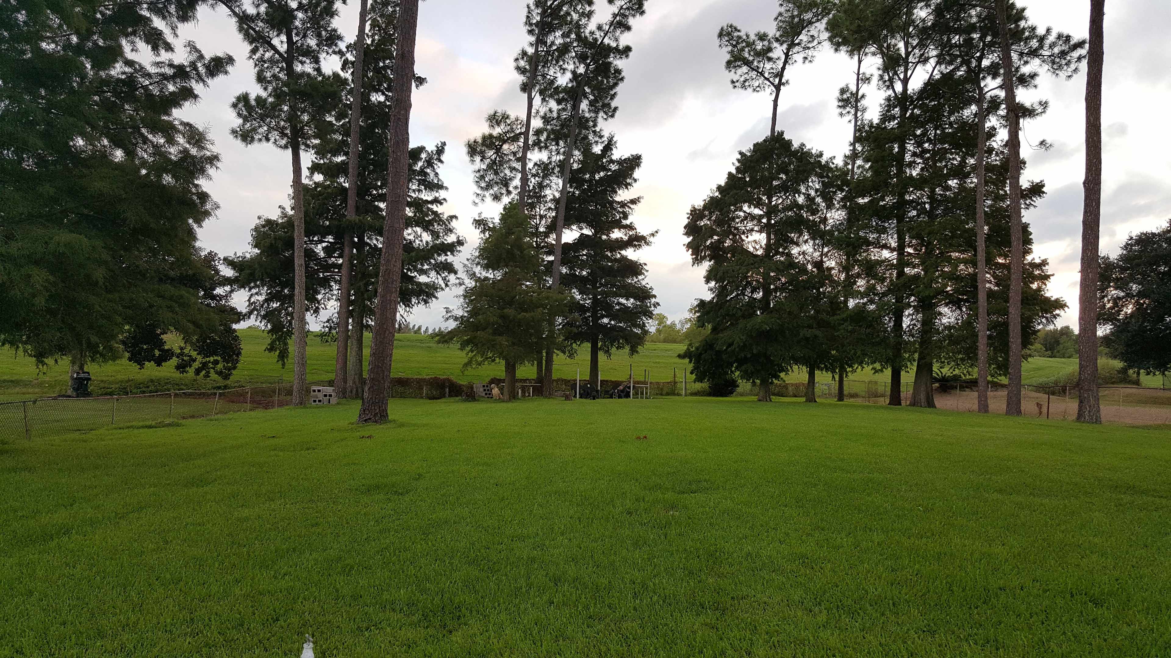 Camp New Orleans